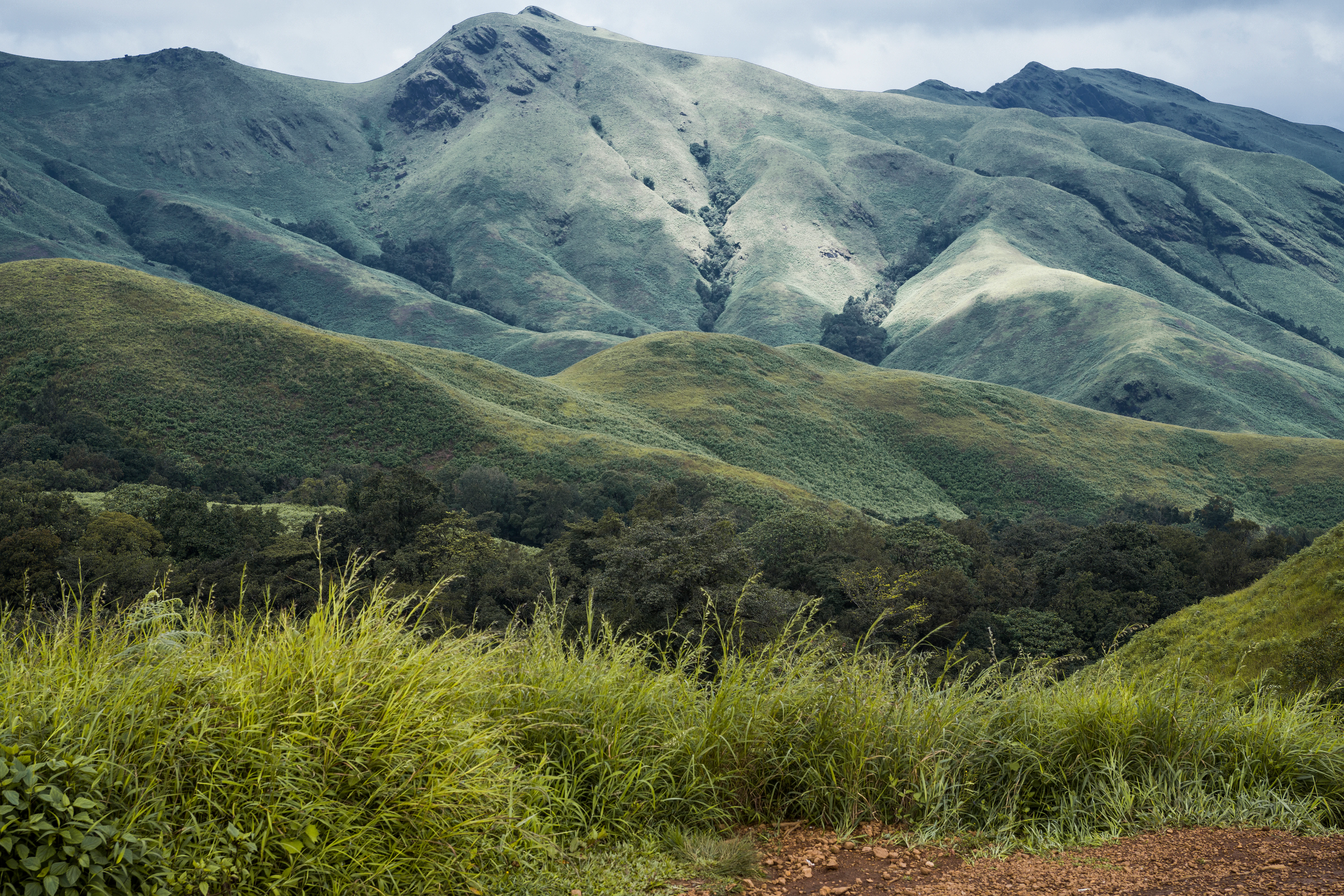 Colinas cubiertas de hierba y montañas boscosas bajo un cielo parcialmente nublado en el Parque Nacional de Kudremukh.