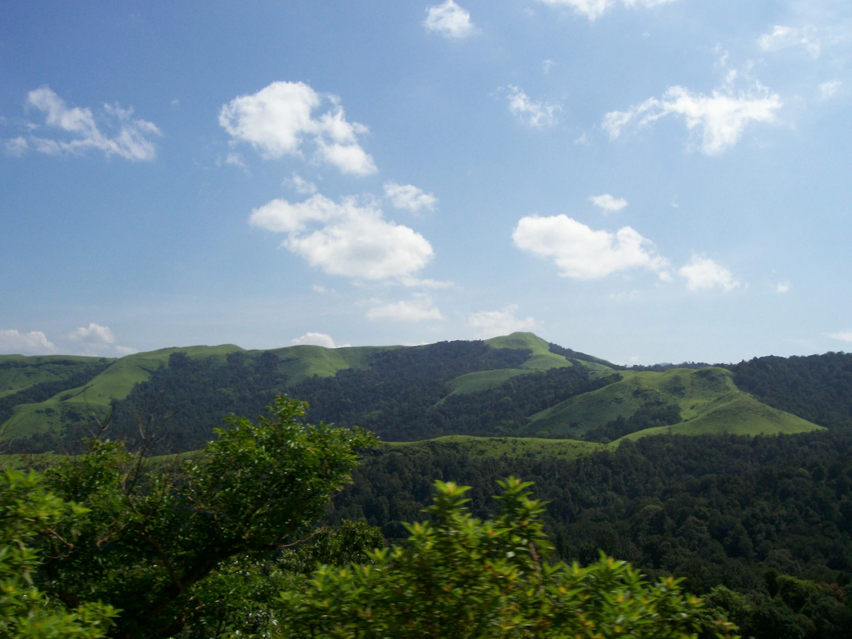 Colinas verdes ondulantes y bosque denso bajo un cielo azul con nubes dispersas