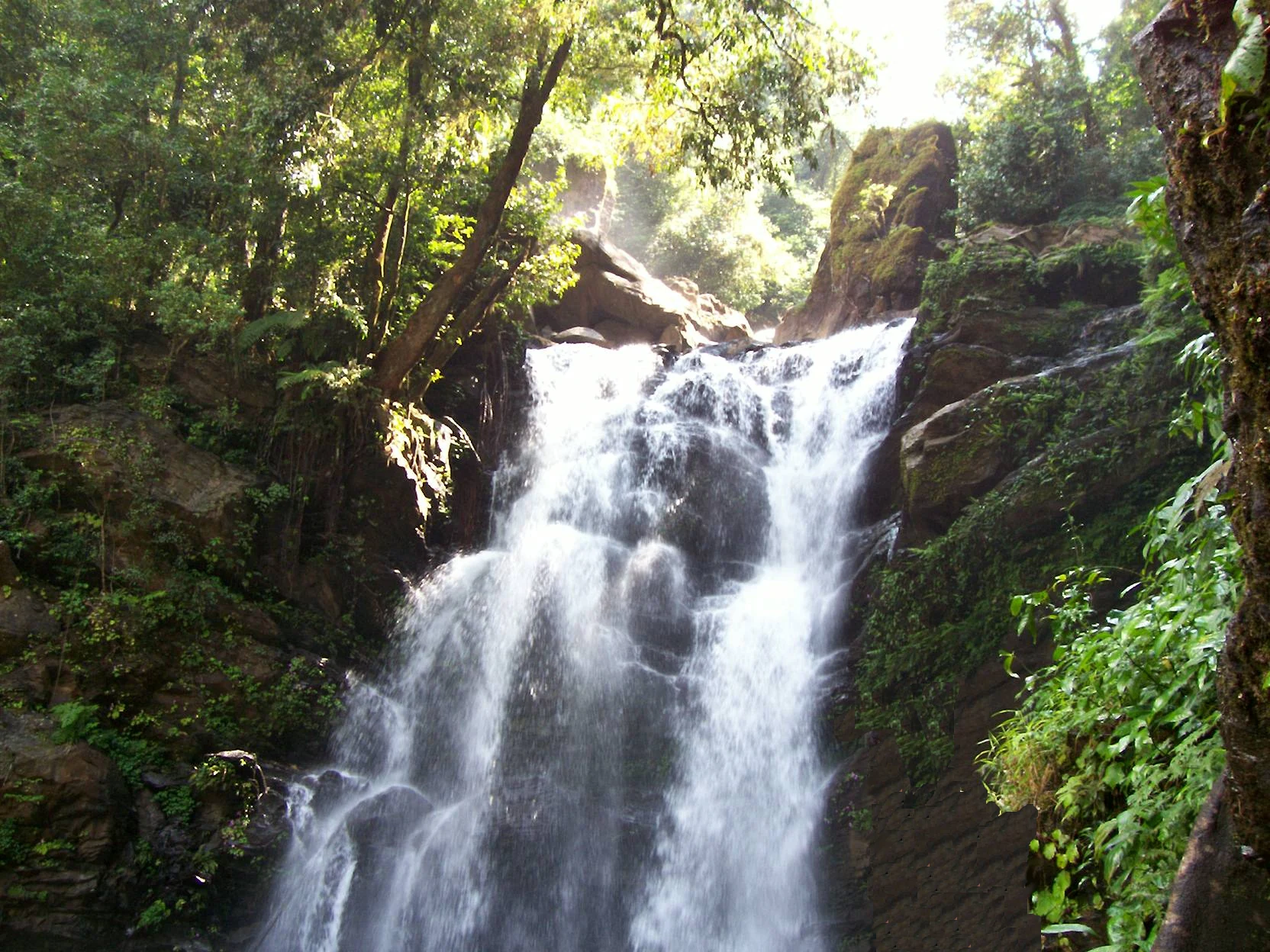 Cascada fluyendo sobre terreno rocoso rodeado de exuberante vegetación verde y árboles