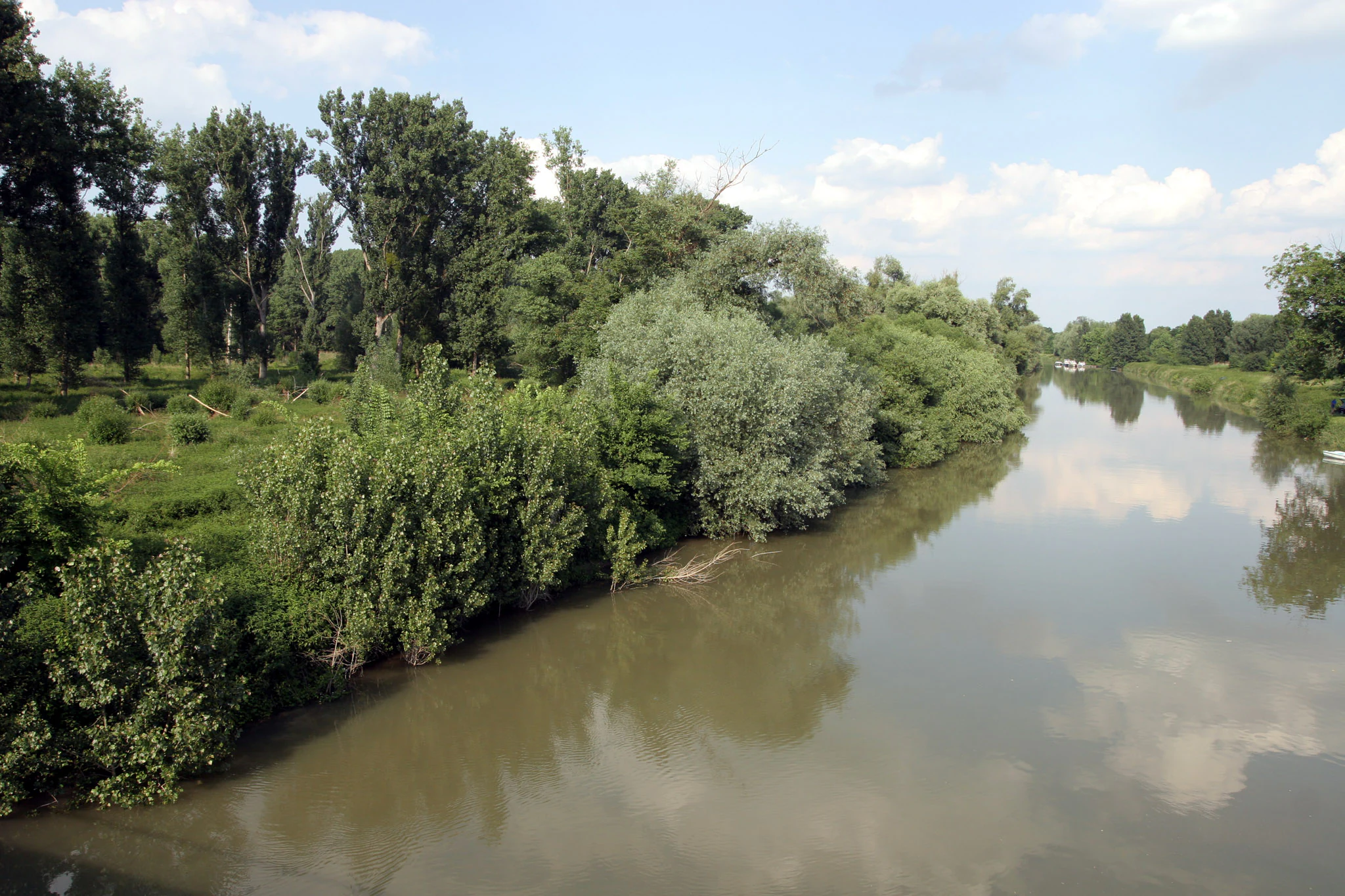A wide angle view of a slow flowing river running past a dense, green floodplain forest under a partly cloudy sky.