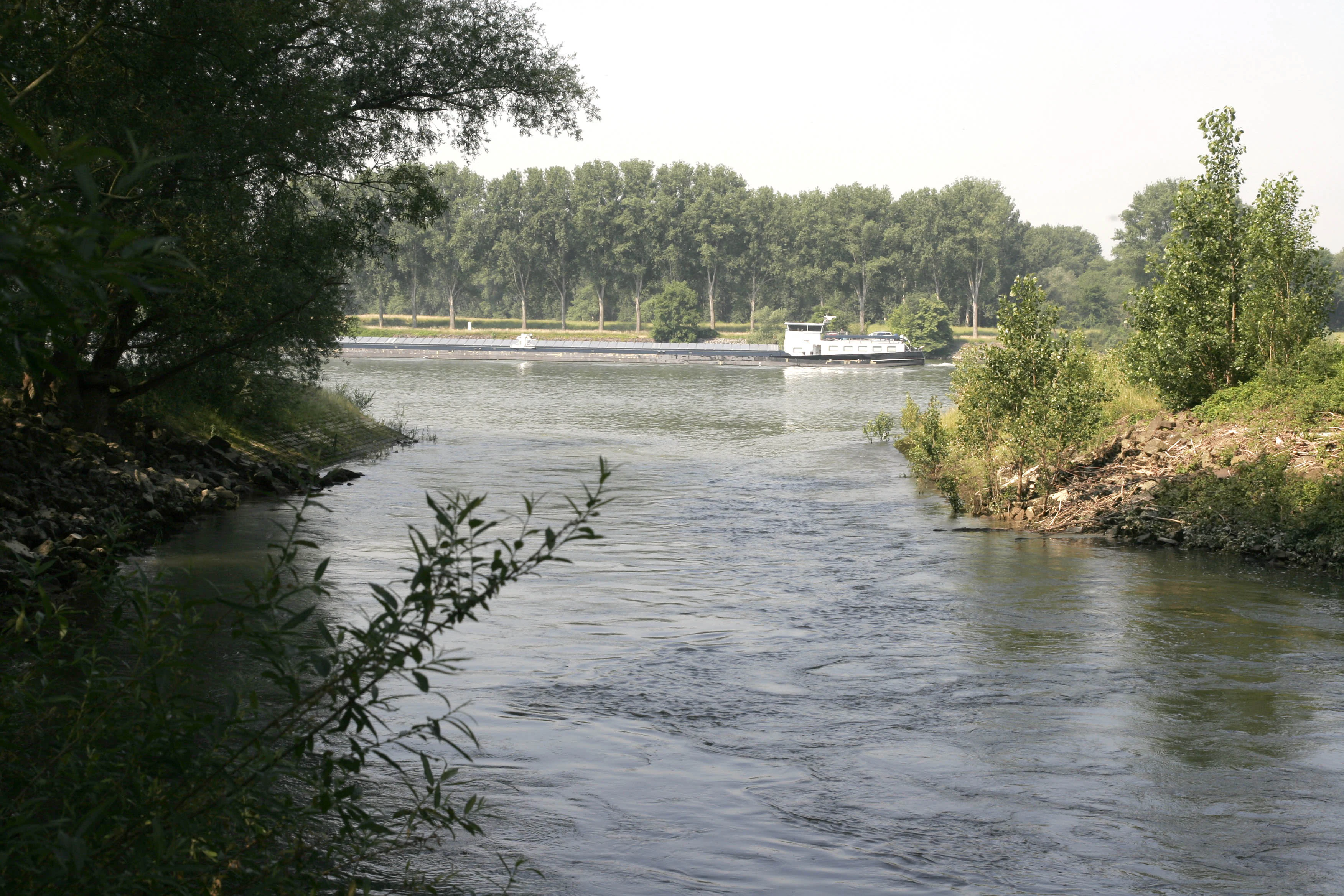 A wide river with a barge passing in the background, framed by tree-lined banks and riparian vegetation.