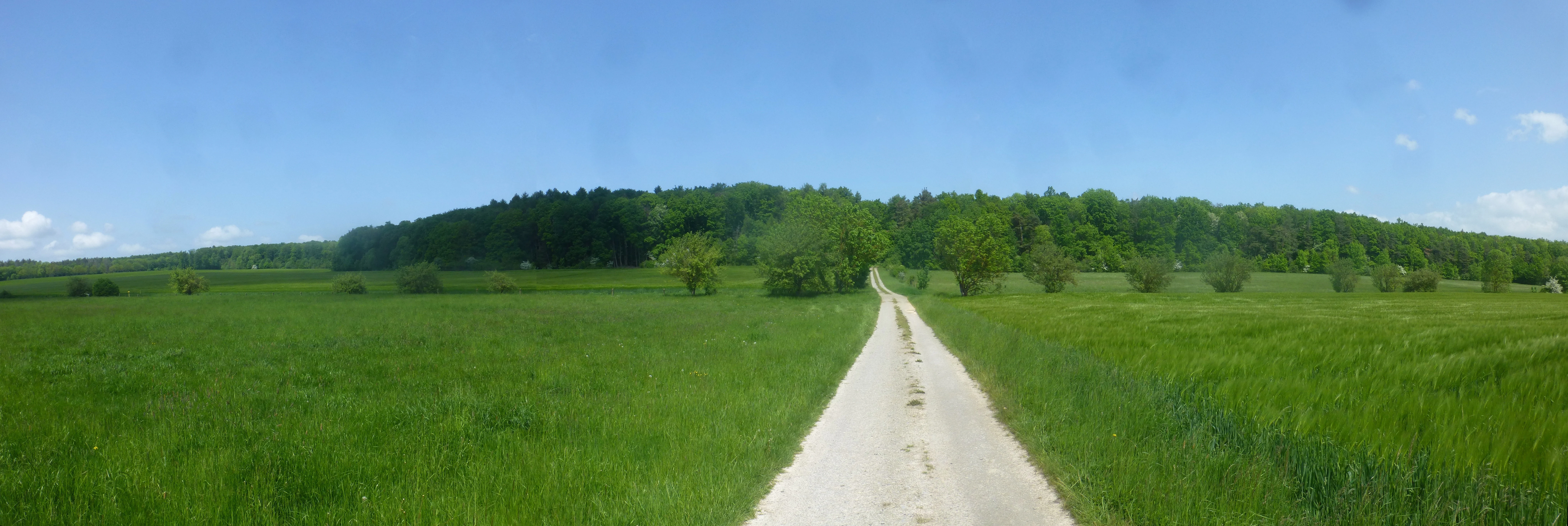 A panoramic view of a green grassy field with a dirt path leading toward a dense treeline under a clear blue sky.