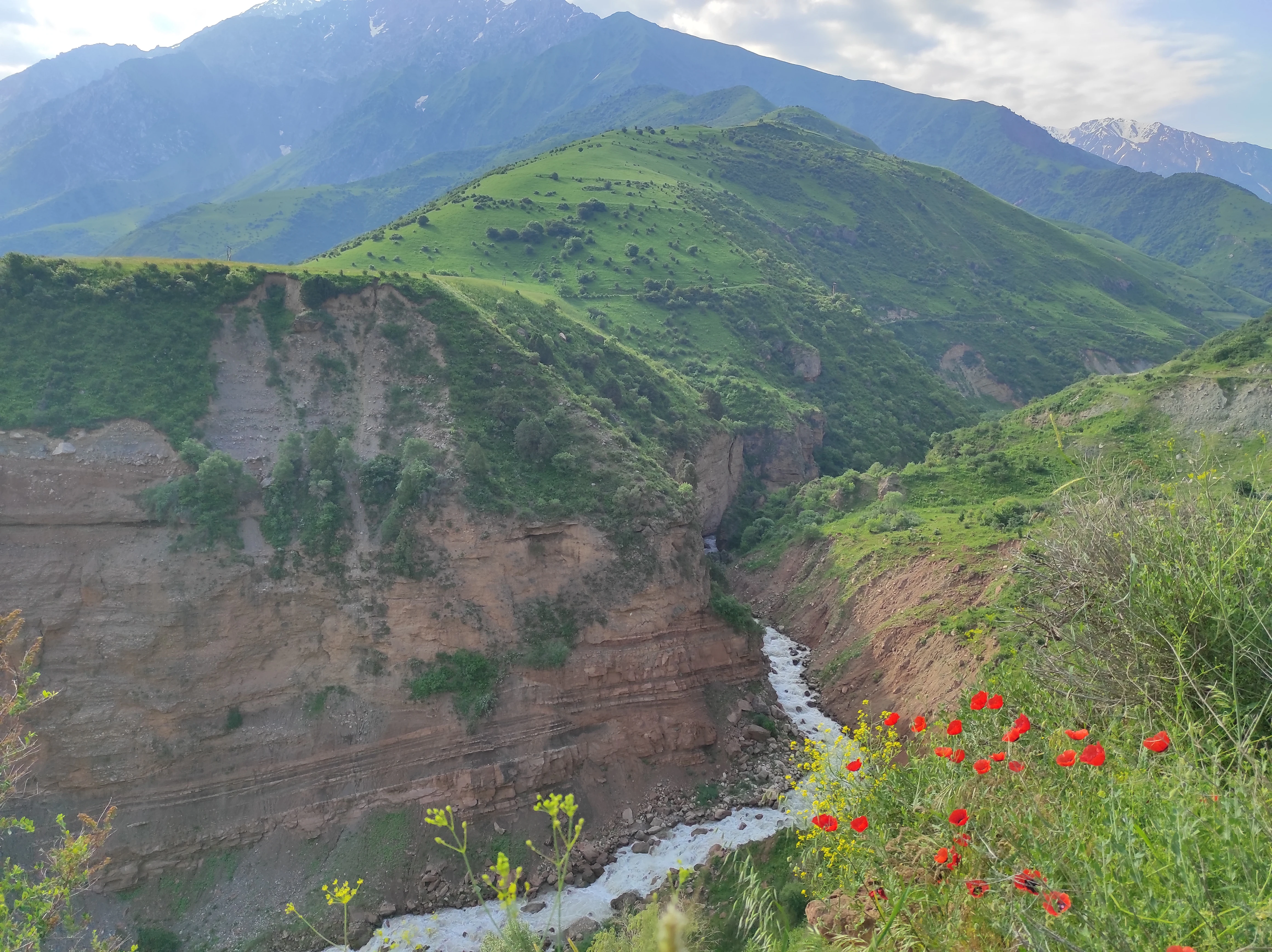 A deep river canyon with rugged, layered brown rock walls, green grass-covered mountains in the background, and red flowers in the foreground.