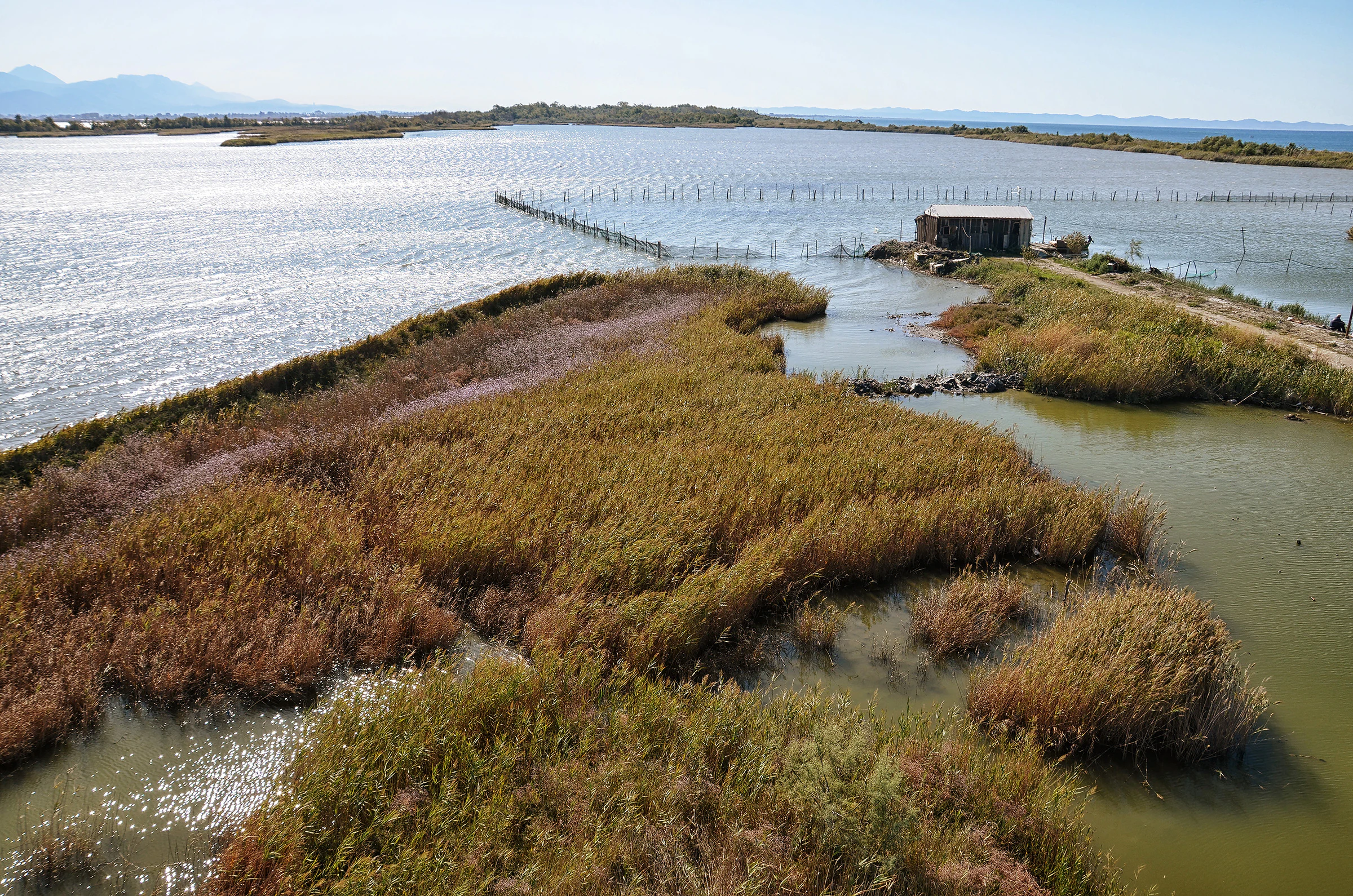 A high-angle view of a coastal wetland in Albania, featuring marshy islands with reeds, a small structure near the water, and calm lagoon waters reflecting the sky.