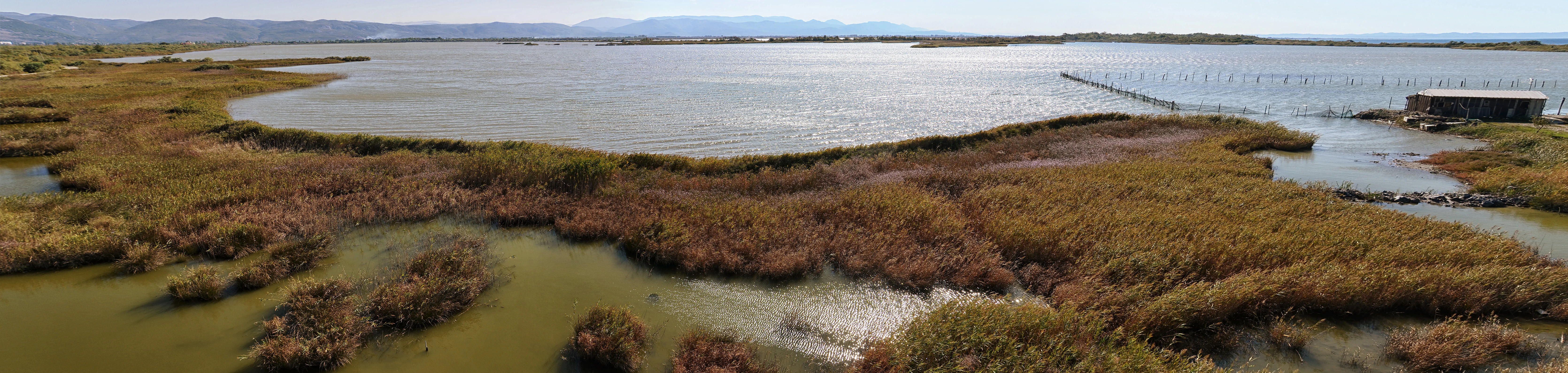 Panoramic view of a coastal lagoon with marshy, reed-filled foreground and open water extending to distant hills under a clear sky.