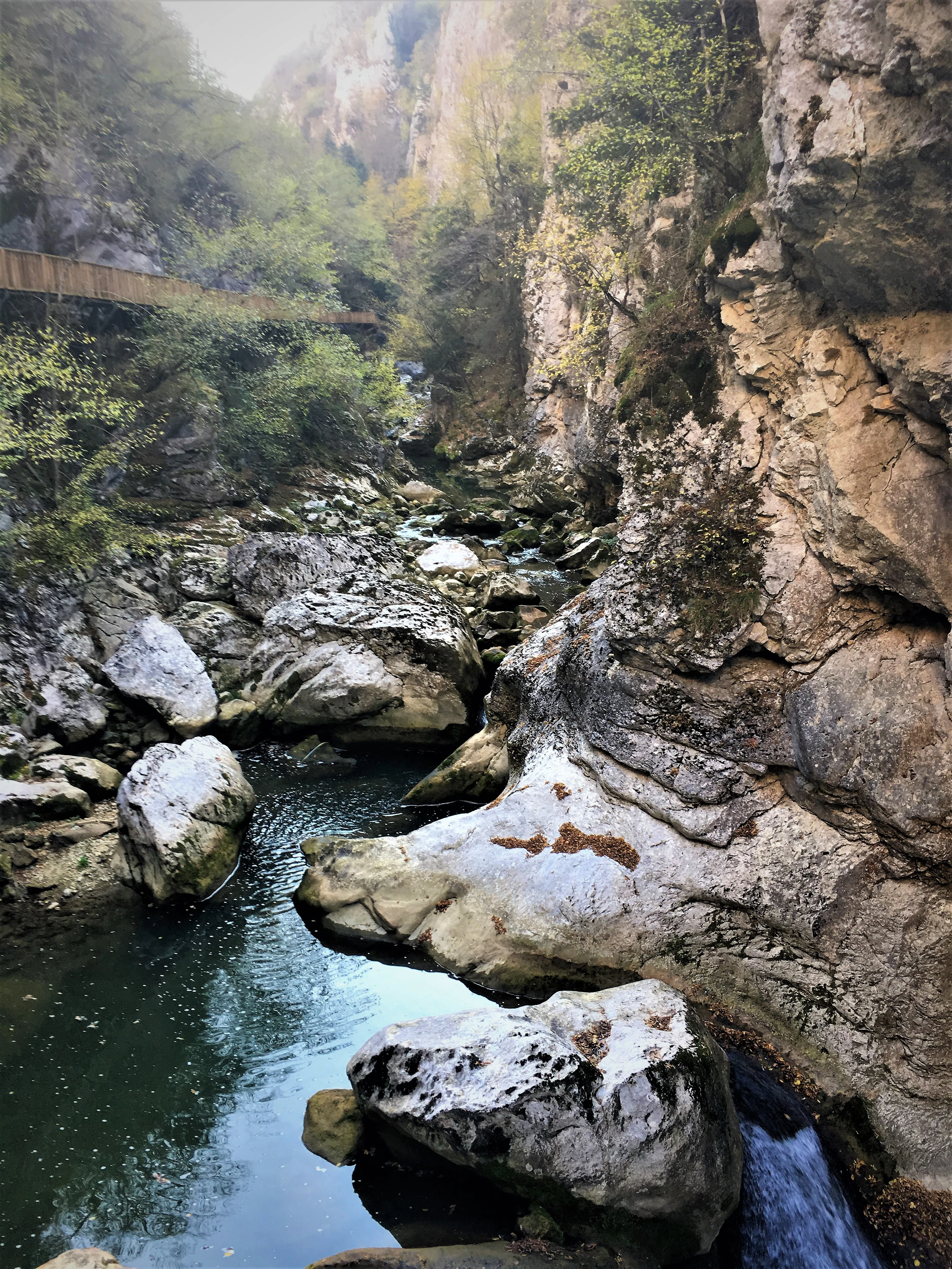 A river flows through a rocky canyon with steep cliffs and vegetation, featuring a wooden bridge in the background