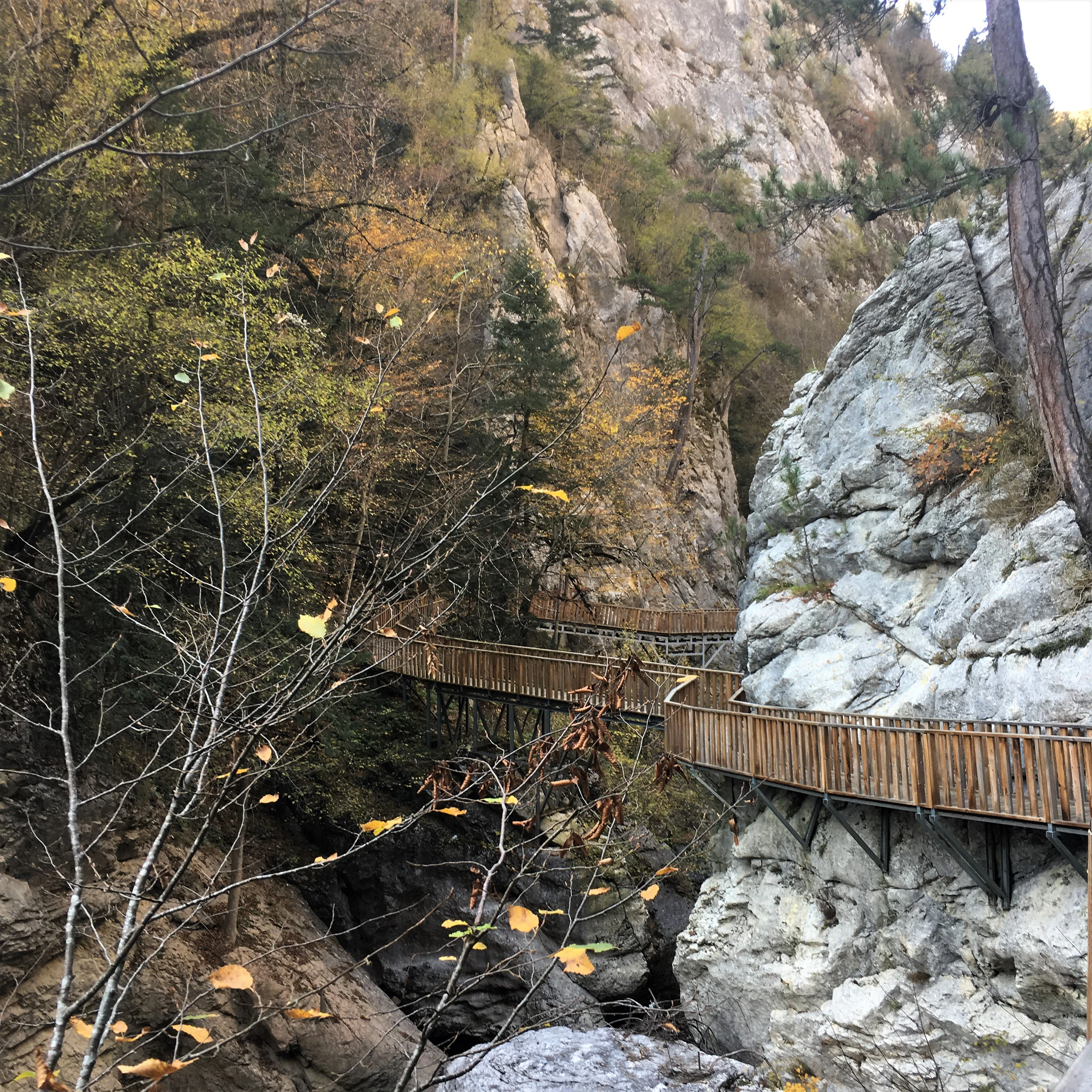 Wooden walkway along rocky canyon walls with autumn foliage and stream below