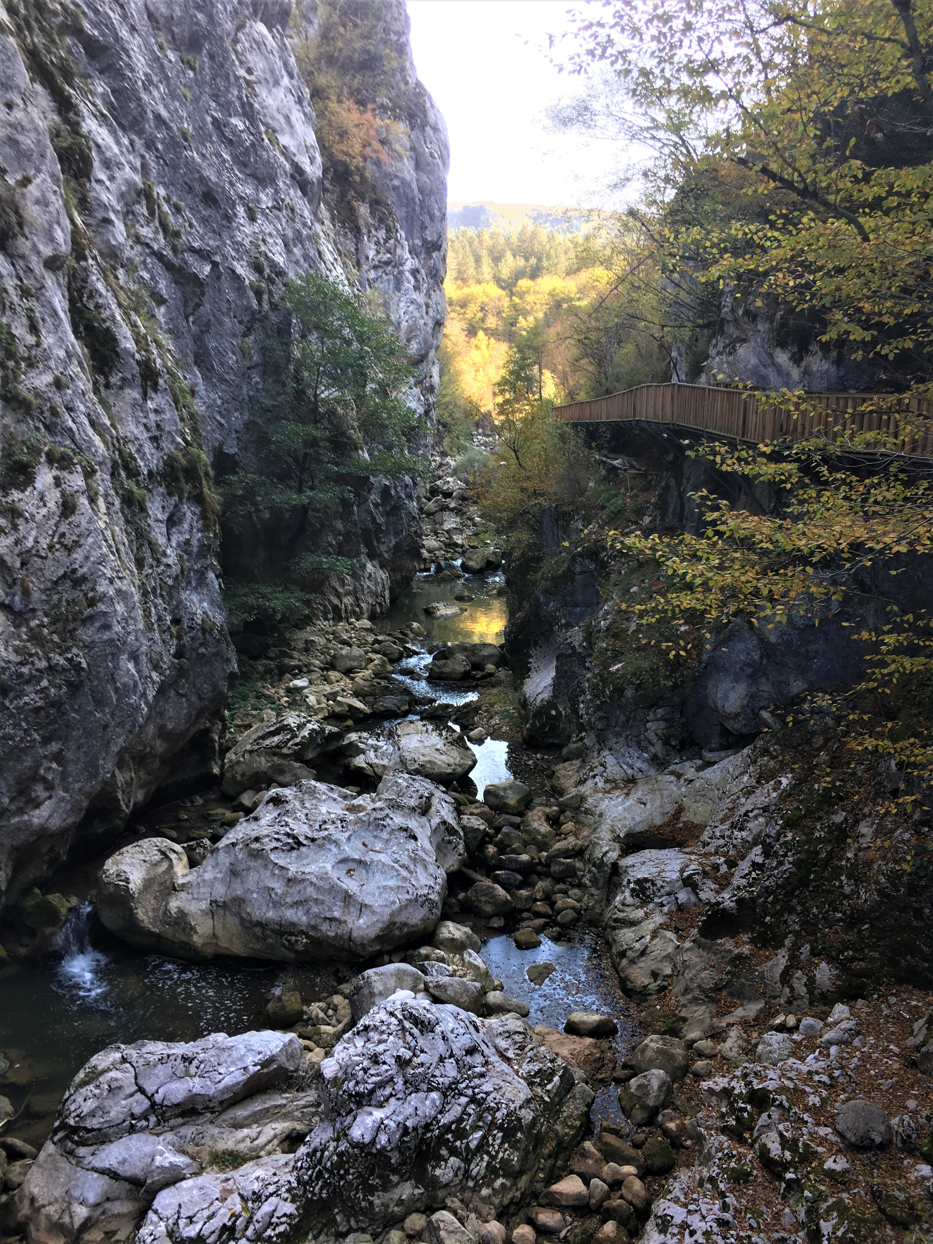 Rocky canyon with a stream flowing through boulders, surrounded by steep cliffs and autumn-colored trees, featuring a wooden bridge spanning the gorge.