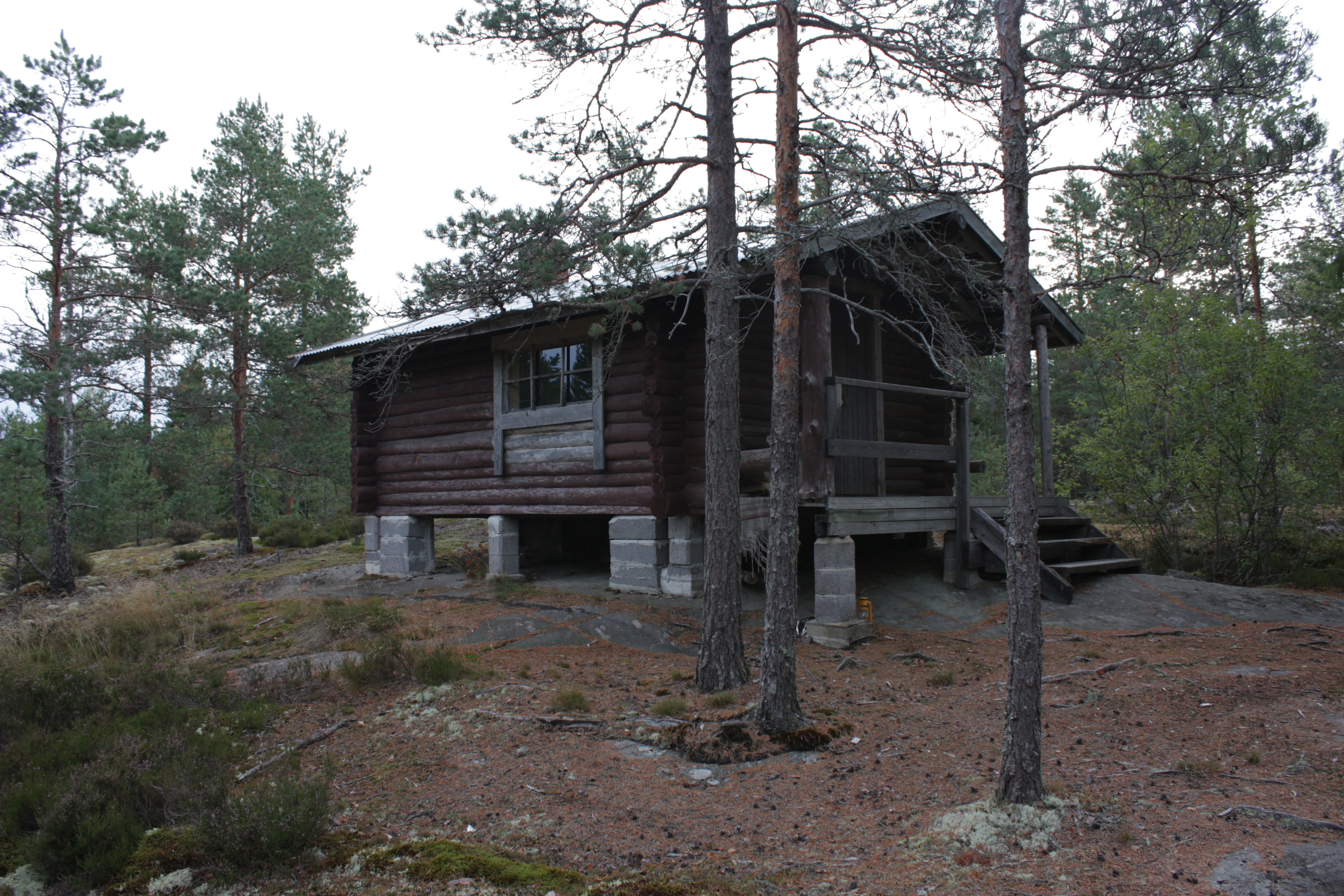 Wooden cabin with concrete supports on rocky hill surrounded by pine trees