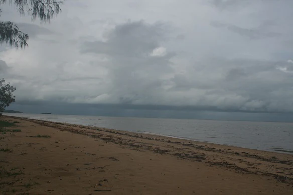 Sandy beach with calm water, overcast sky, and sparse vegetation on the left