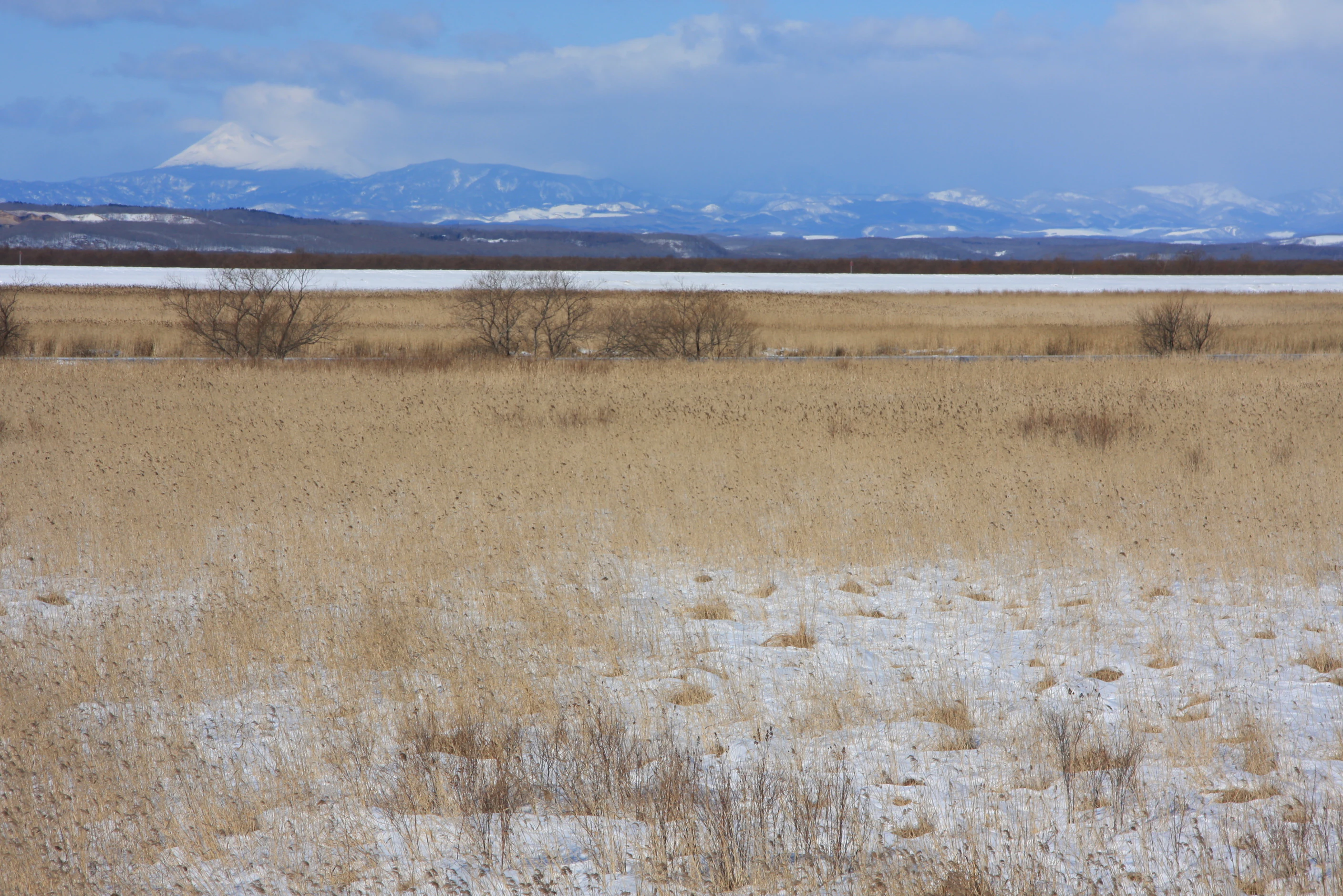 Un paisaje invernal del humedal de Kushiro con cañas cubiertas de nieve y una masa de agua distante bajo un cielo parcialmente nublado