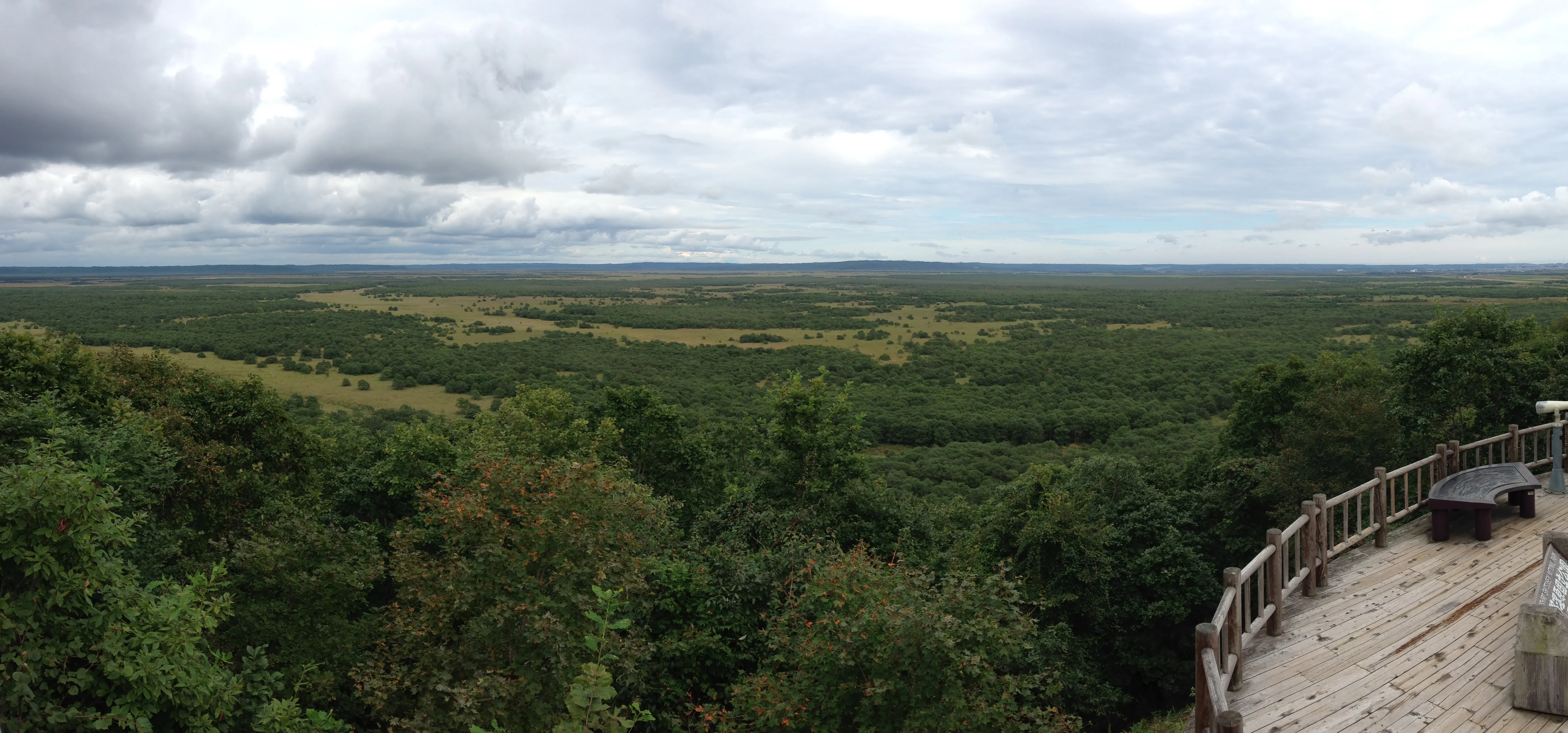 Amplia vista panorámica de un paisaje boscoso con una plataforma de observación de madera a la derecha, bajo un cielo nublado