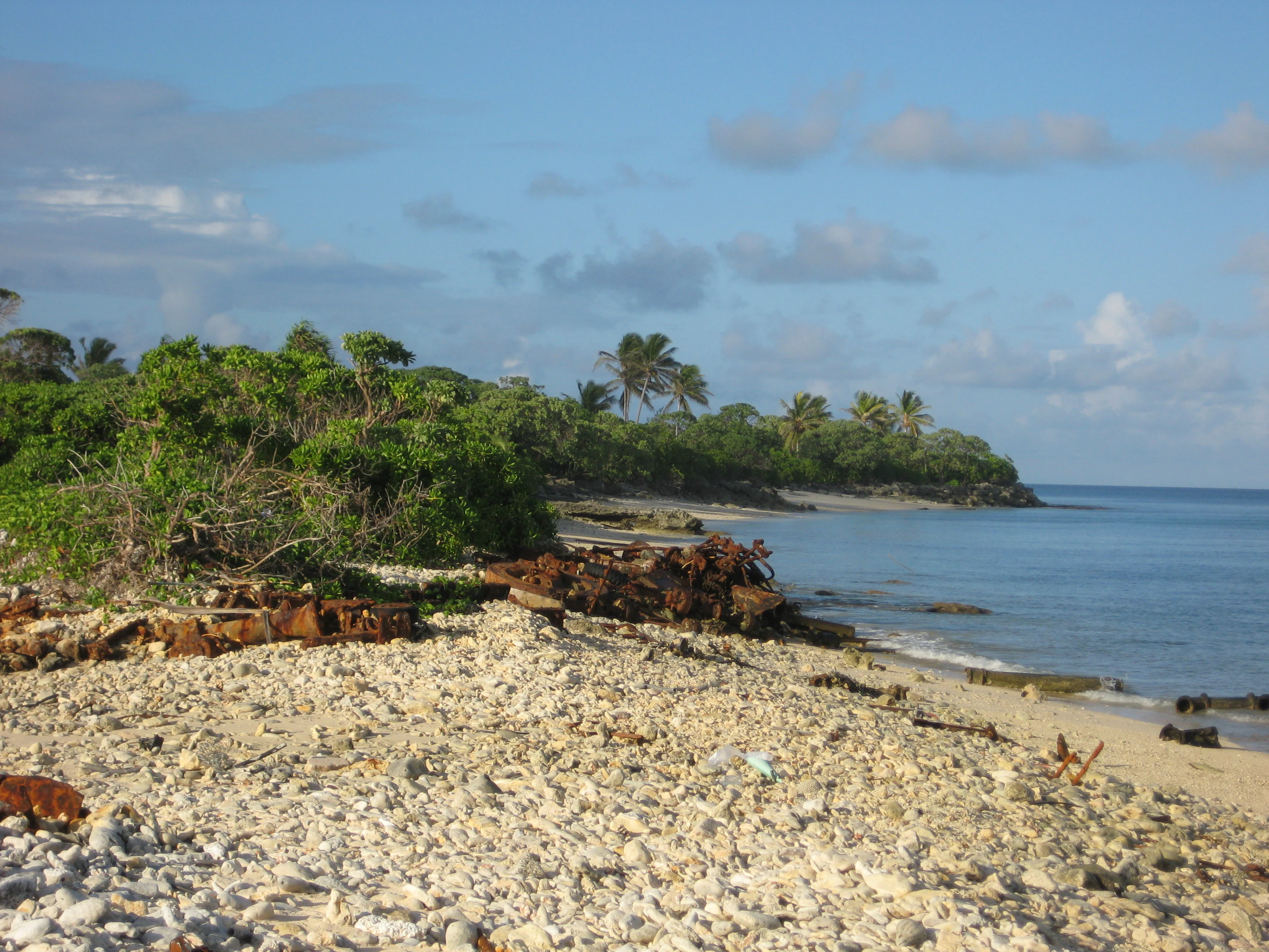 Una escena costera soleada con una orilla rocosa y arenosa con restos de metal dispersos, que conduce a una densa vegetación tropical y palmeras bajo un cielo azul.