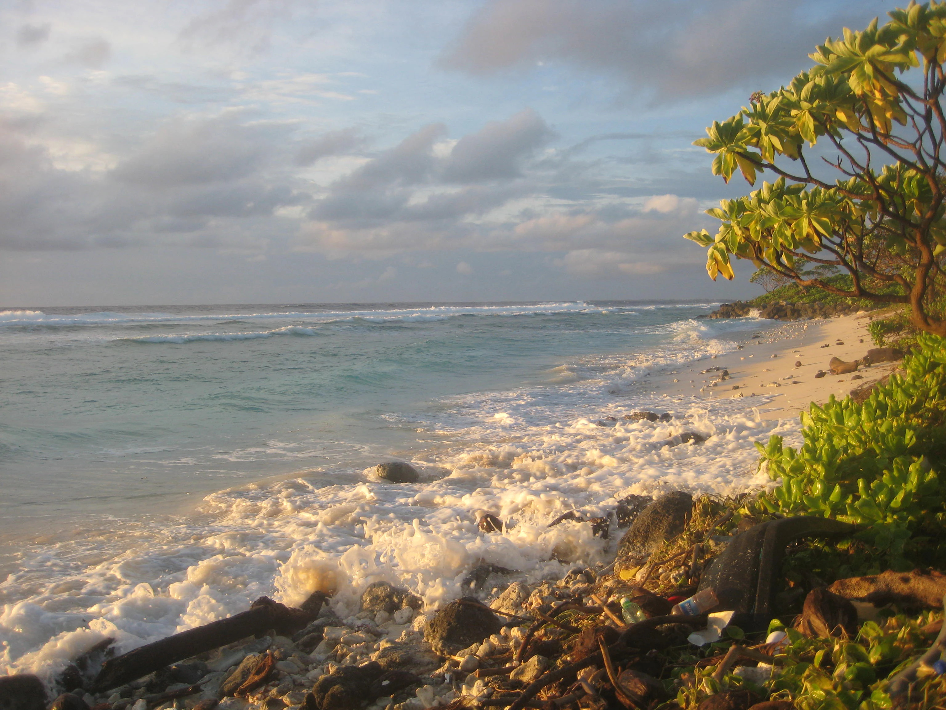 Una vista de una playa oceánica al atardecer con olas rompiendo en una costa rocosa y arenosa y vegetación tropical a la derecha.