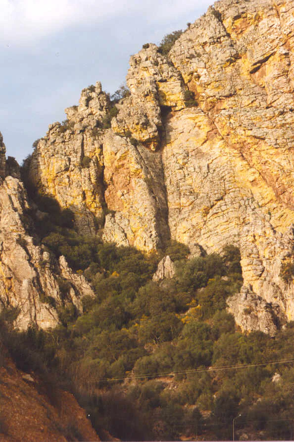 A steep, craggy yellow and grey rock cliff face rising above a dense slope of green scrubland and trees.