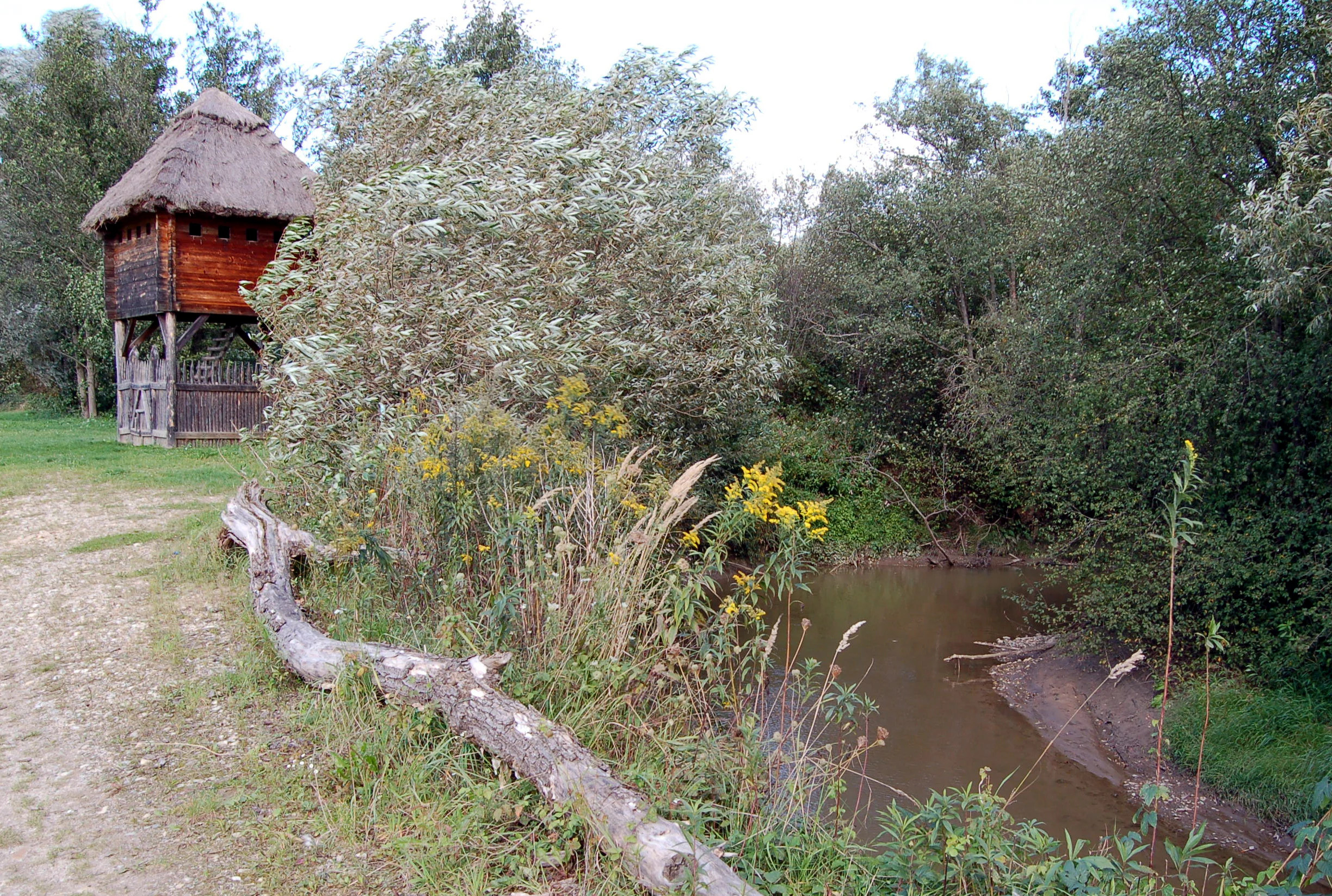 A rustic wooden watchtower with a thatched roof stands on the edge of a small, narrow, meandering river flanked by dense green trees and foliage.