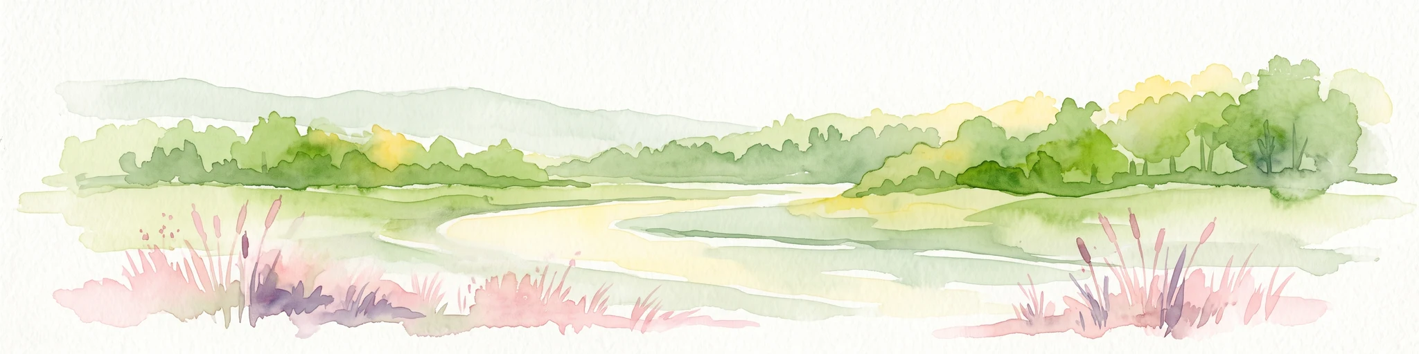 Una pintura horizontal en acuarela que muestra un río serpenteante fluyendo por un valle verde exuberante con juncos de color rosa claro en primer plano.