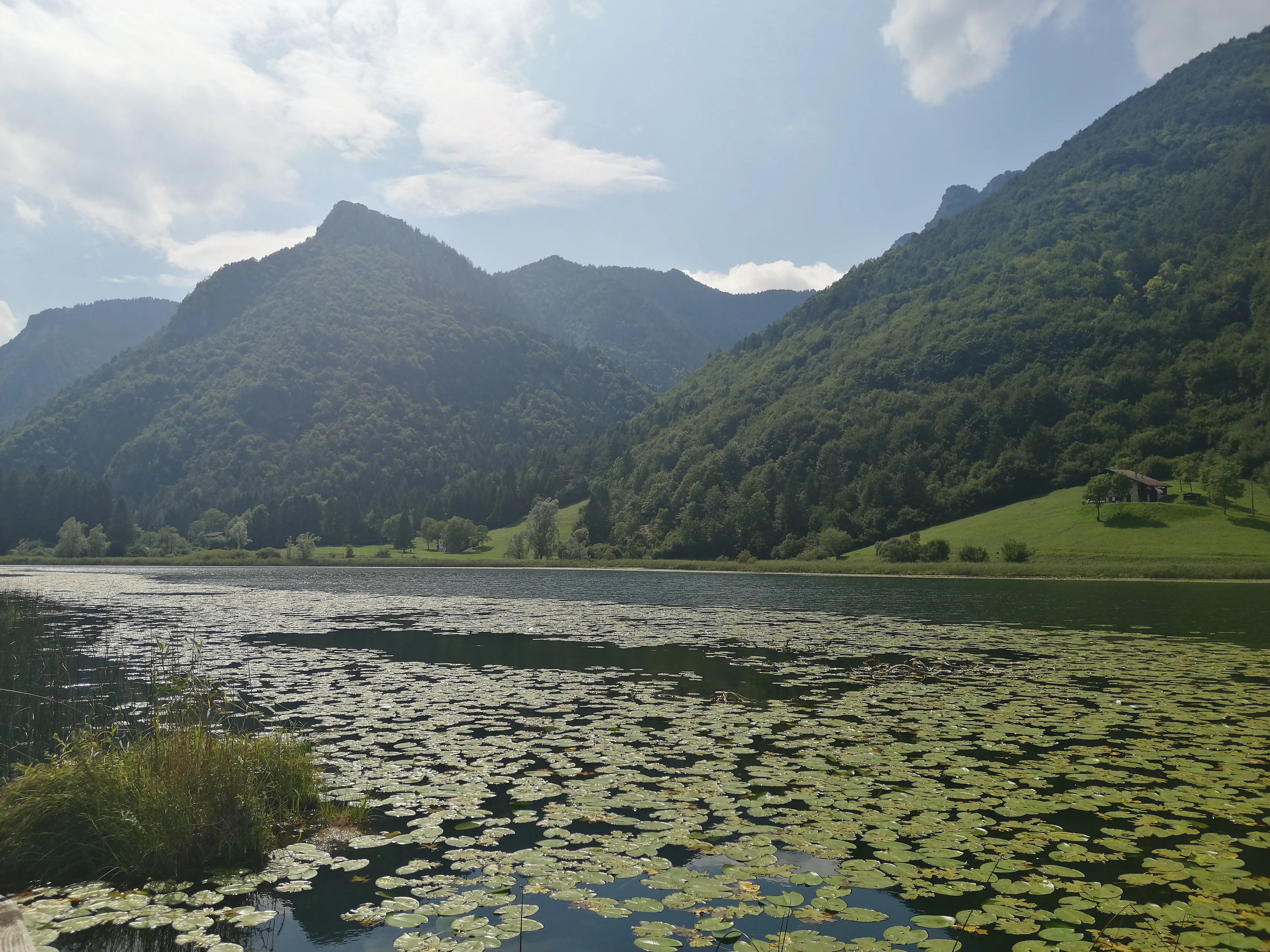 A horizontal view of a calm lake filled with lily pads, surrounded by forested mountains under a cloudy sky.