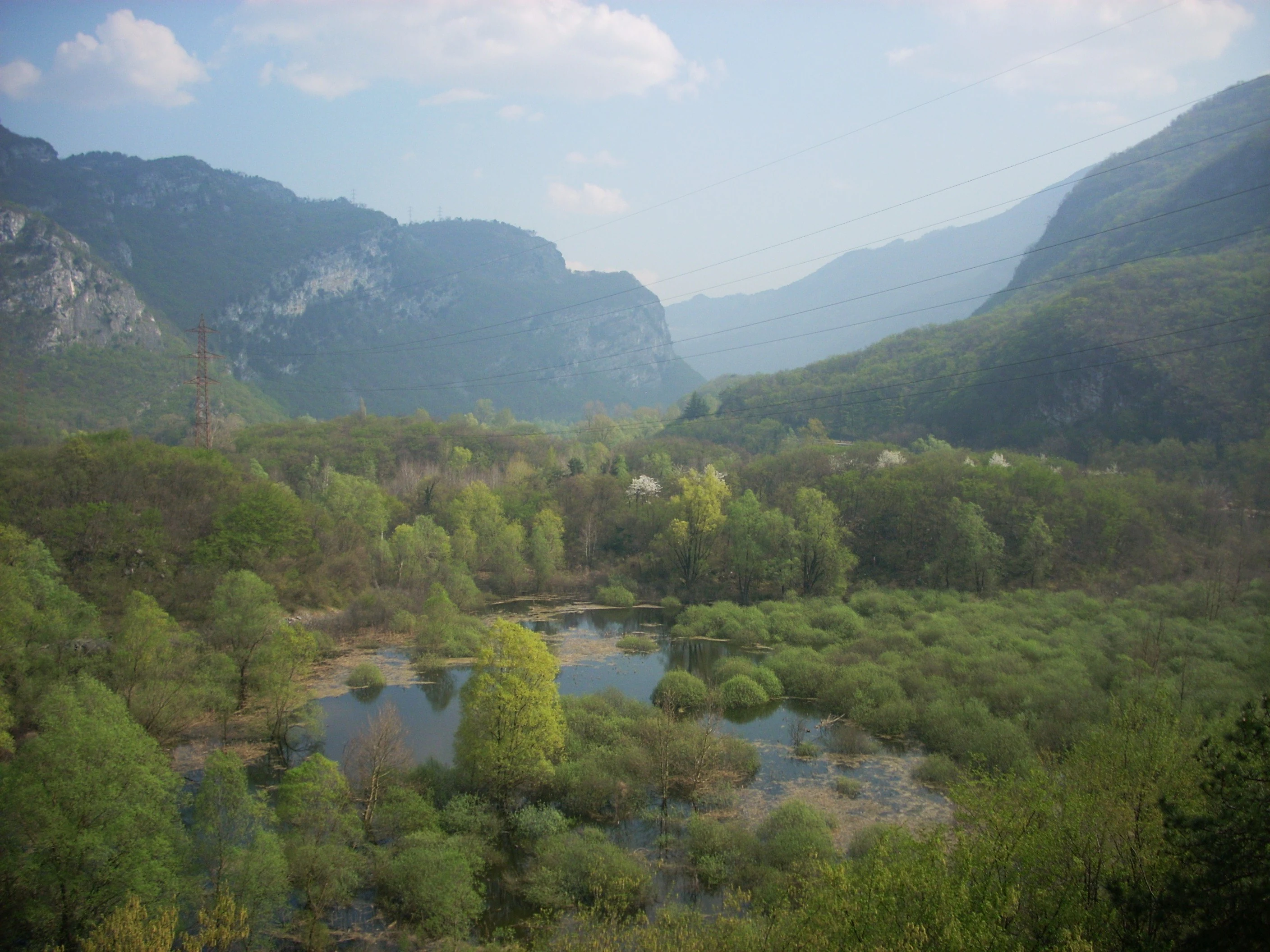 A wide-angle landscape shot of a marshy wetland area with small pools of water and lush green trees in the foreground, set in a valley between steep mountain slopes under a soft, slightly hazy sky.