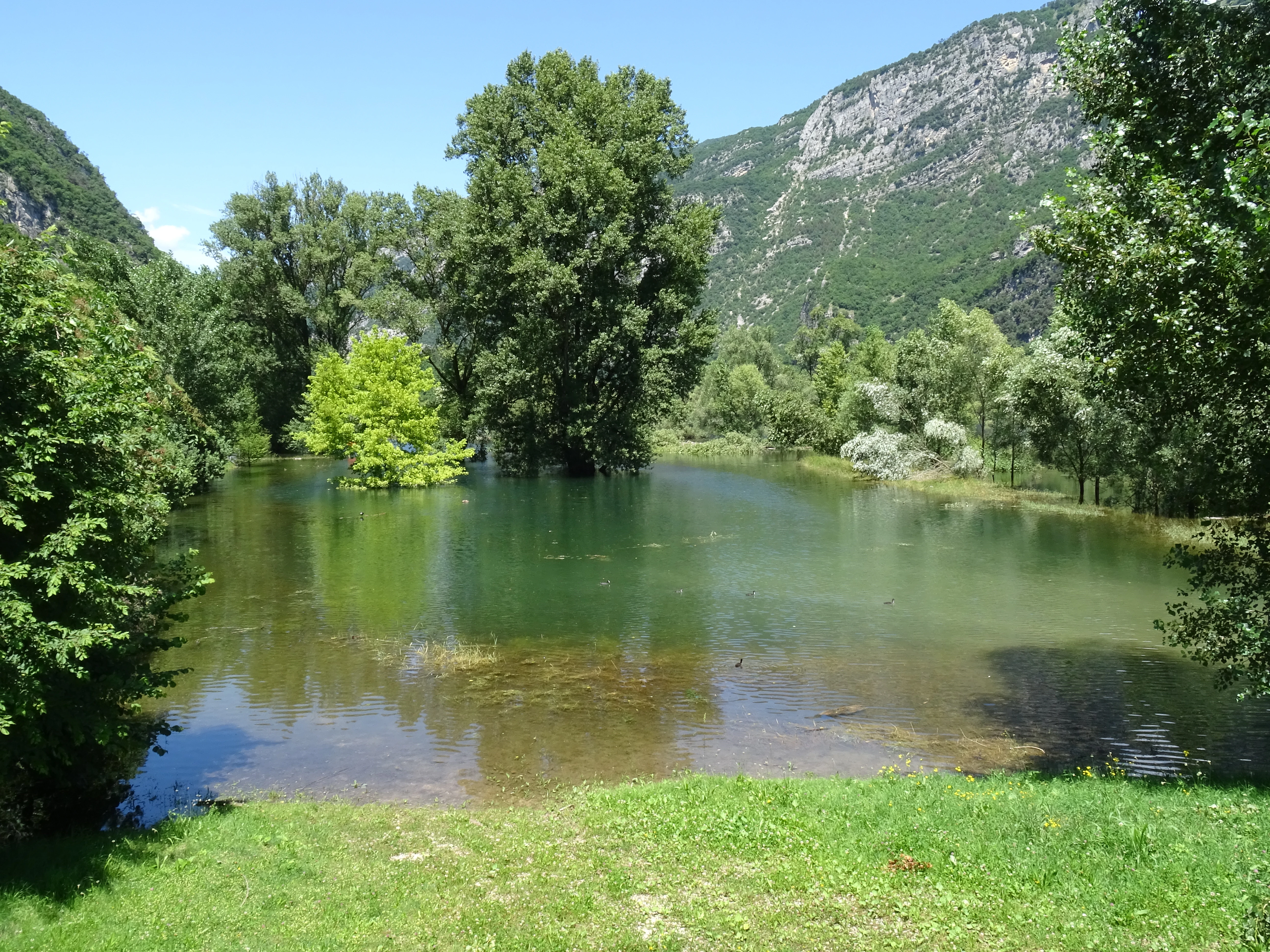 A peaceful lake in a valley with trees growing in the water and a steep, tree-covered mountain slope in the background.