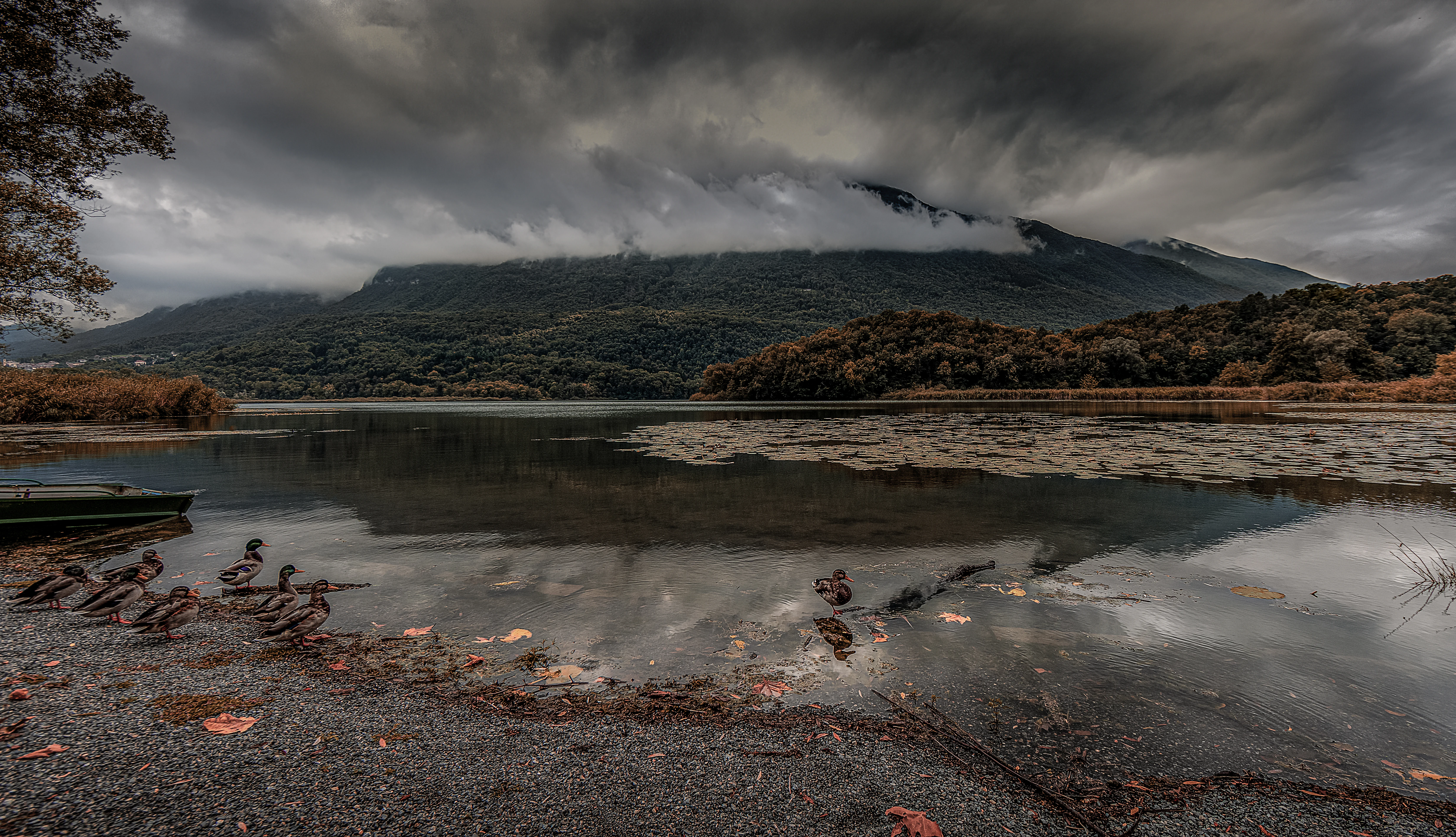 A wide landscape view of a lake with dark, overcast clouds clinging to the mountains in the background, a small boat on the left shore, and lily pads floating on the water surface.