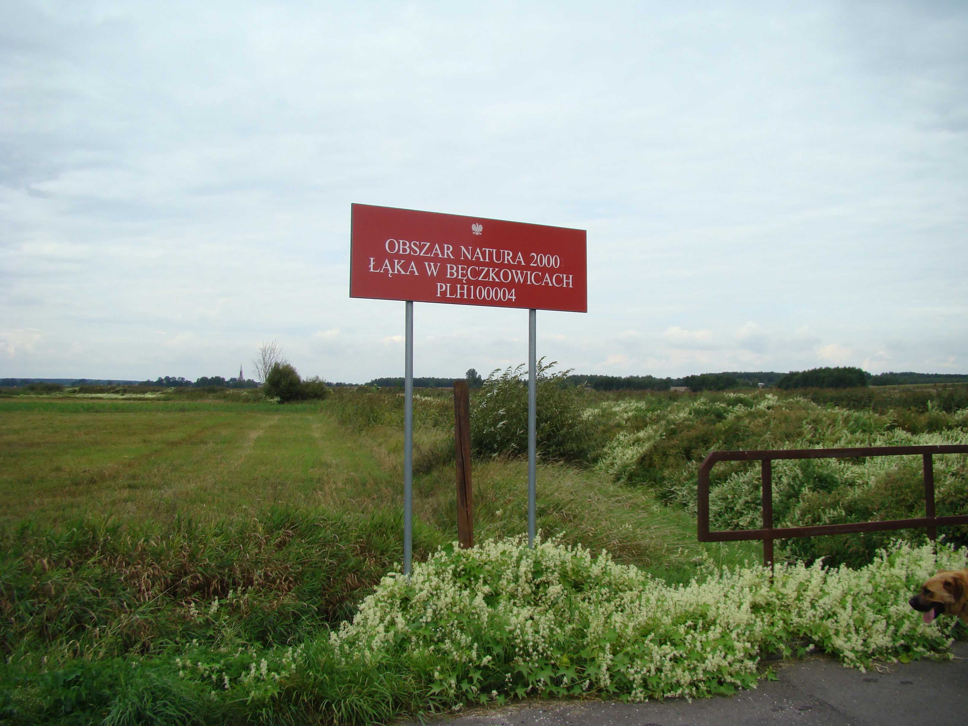 A red rectangular sign with white text standing in a grassy field, identifying the location as Obszar Natura 2000 Łąka w Bęczkowicach.