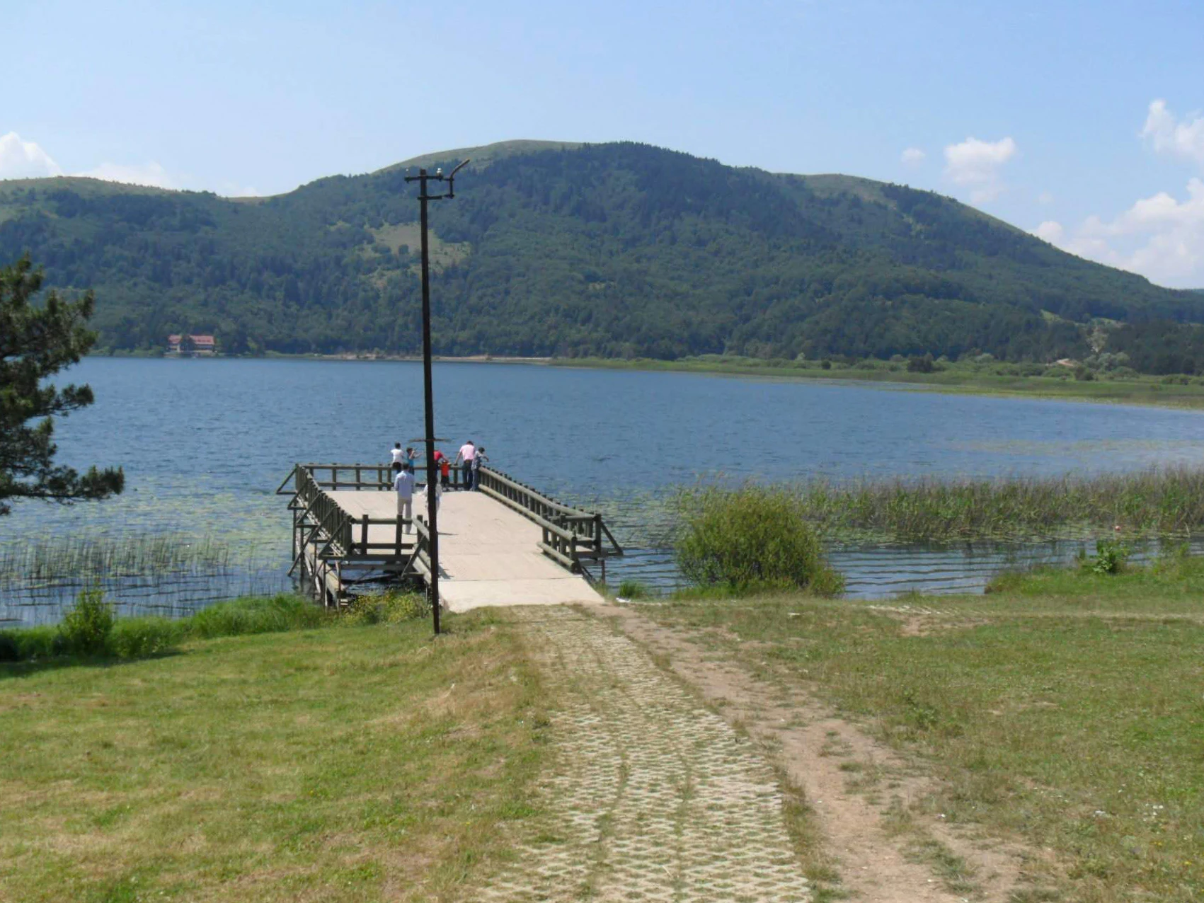 Wooden pier leading from grassy shore to a lake with mountains in the background