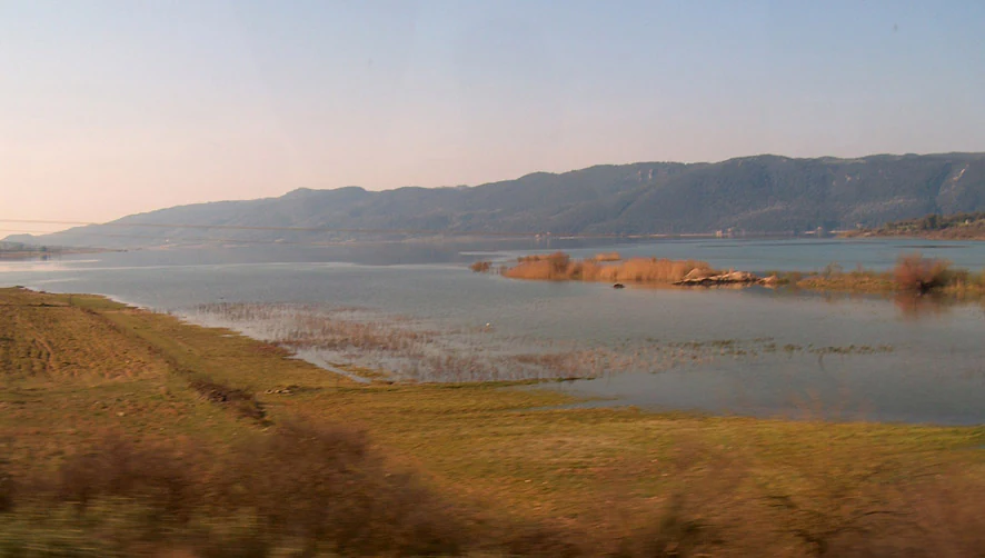 A wide, calm freshwater lake in Greece, with golden-brown grassy fields in the foreground, small patches of reeds near the water, and low, rolling hills in the background under a pale sky.