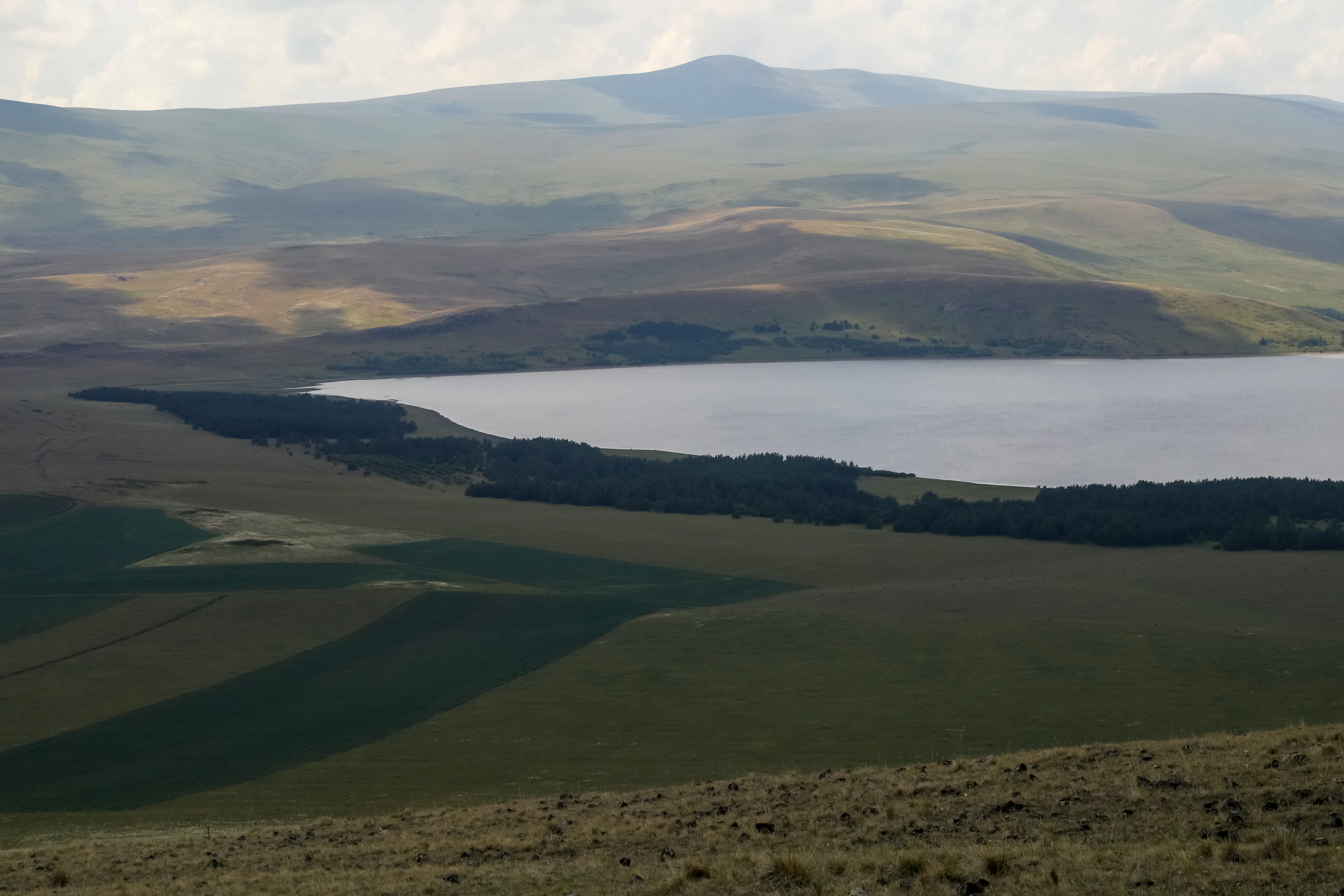 Landscape view of Lake Arpi National Park featuring a large lake, grassy hills, and distant mountains under a partly cloudy sky