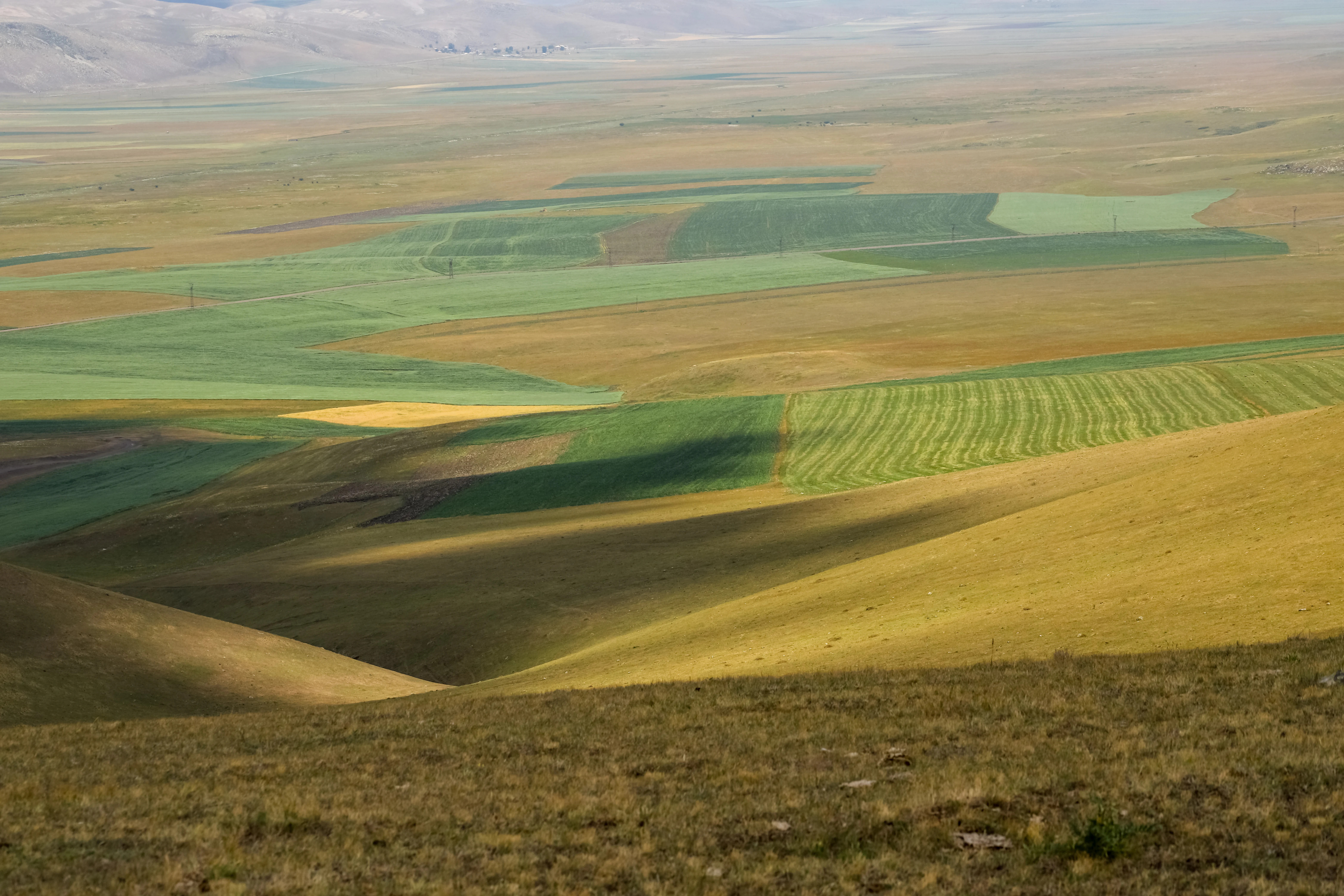 Rolling hills with patchwork agricultural fields in various shades of green, brown, and yellow, viewed from elevated terrain