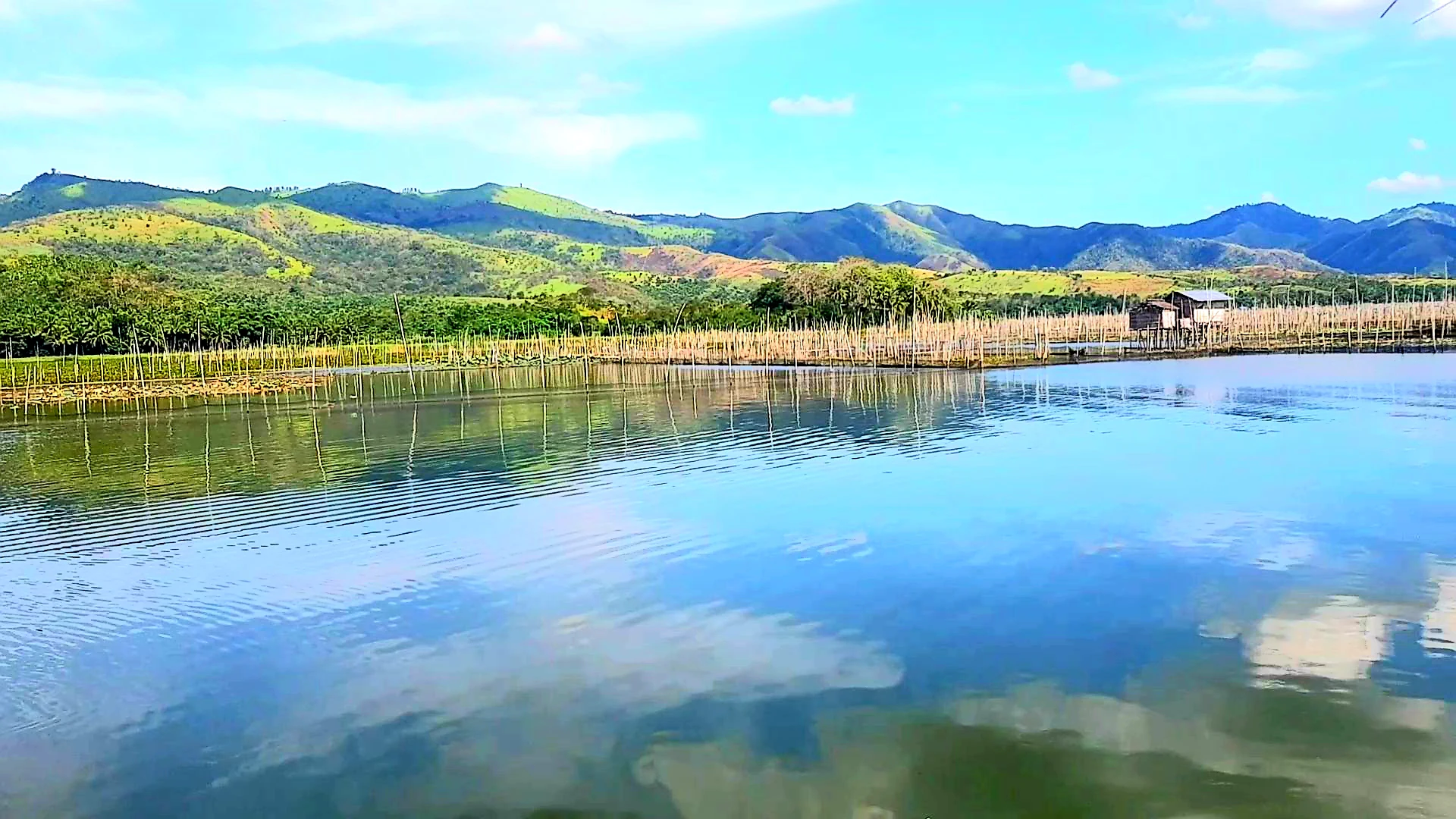 A wide view of Lake Buluan, showing calm blue water reflecting the sky, with wooden poles used for fishing in the water and a range of green, rolling mountains in the background.