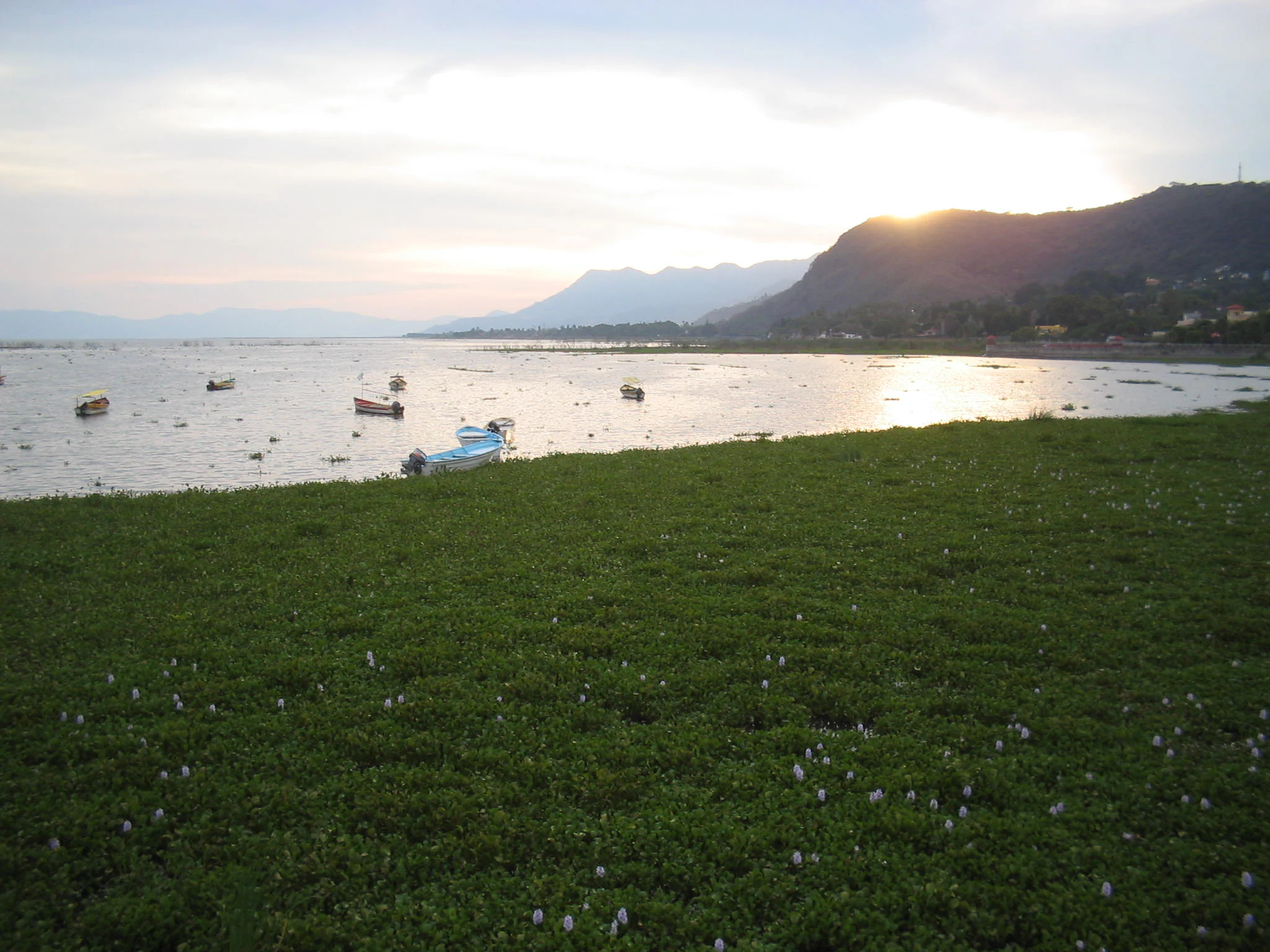A wide scenic view of Lake Chapala at sunset with small boats moored on the water, a grassy shoreline in the foreground, and mountains in the distance.