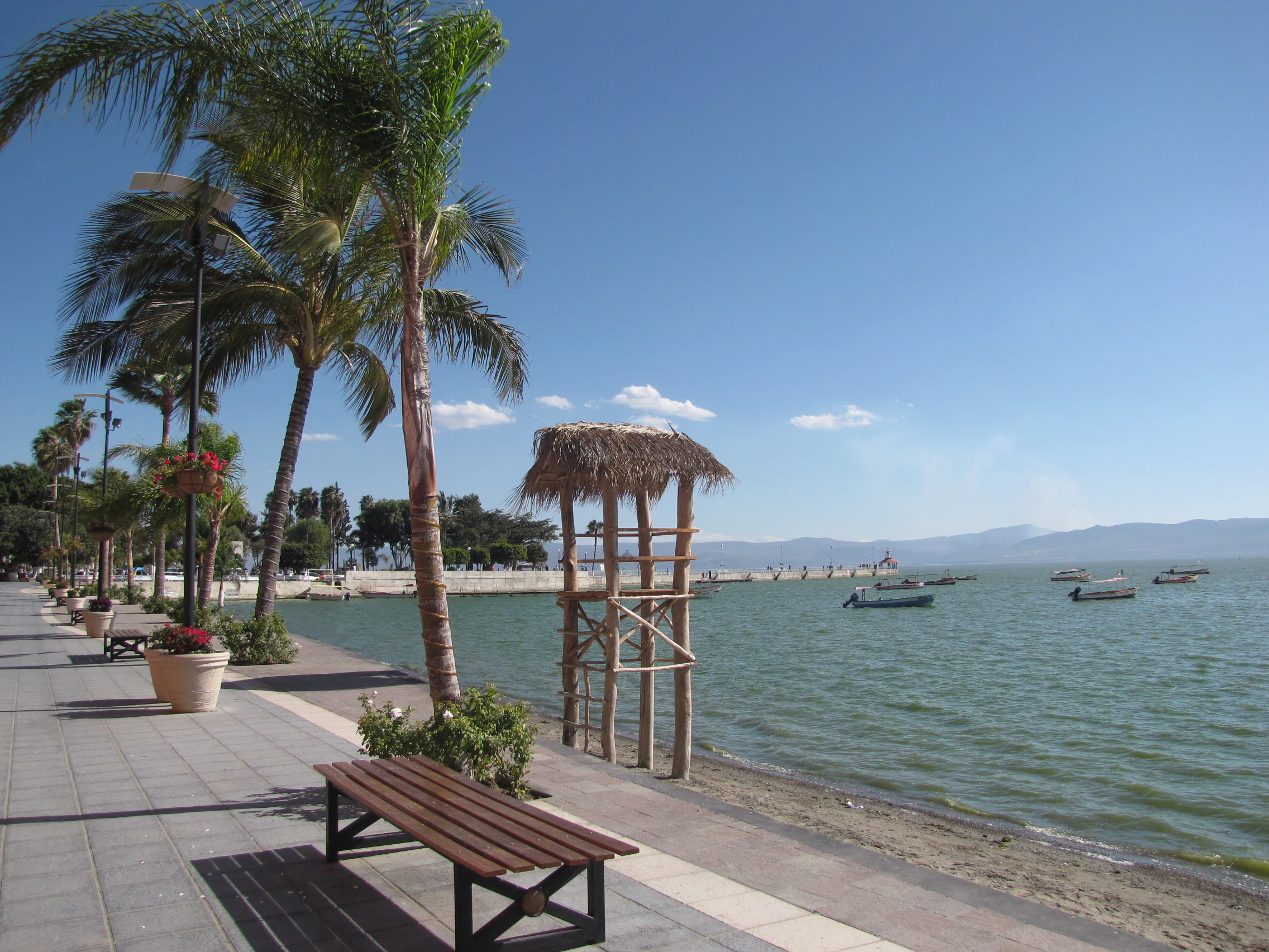 A paved promenade along a lakefront with palm trees, a wooden bench, and a thatched-roof structure, overlooking a large lake with several small boats.