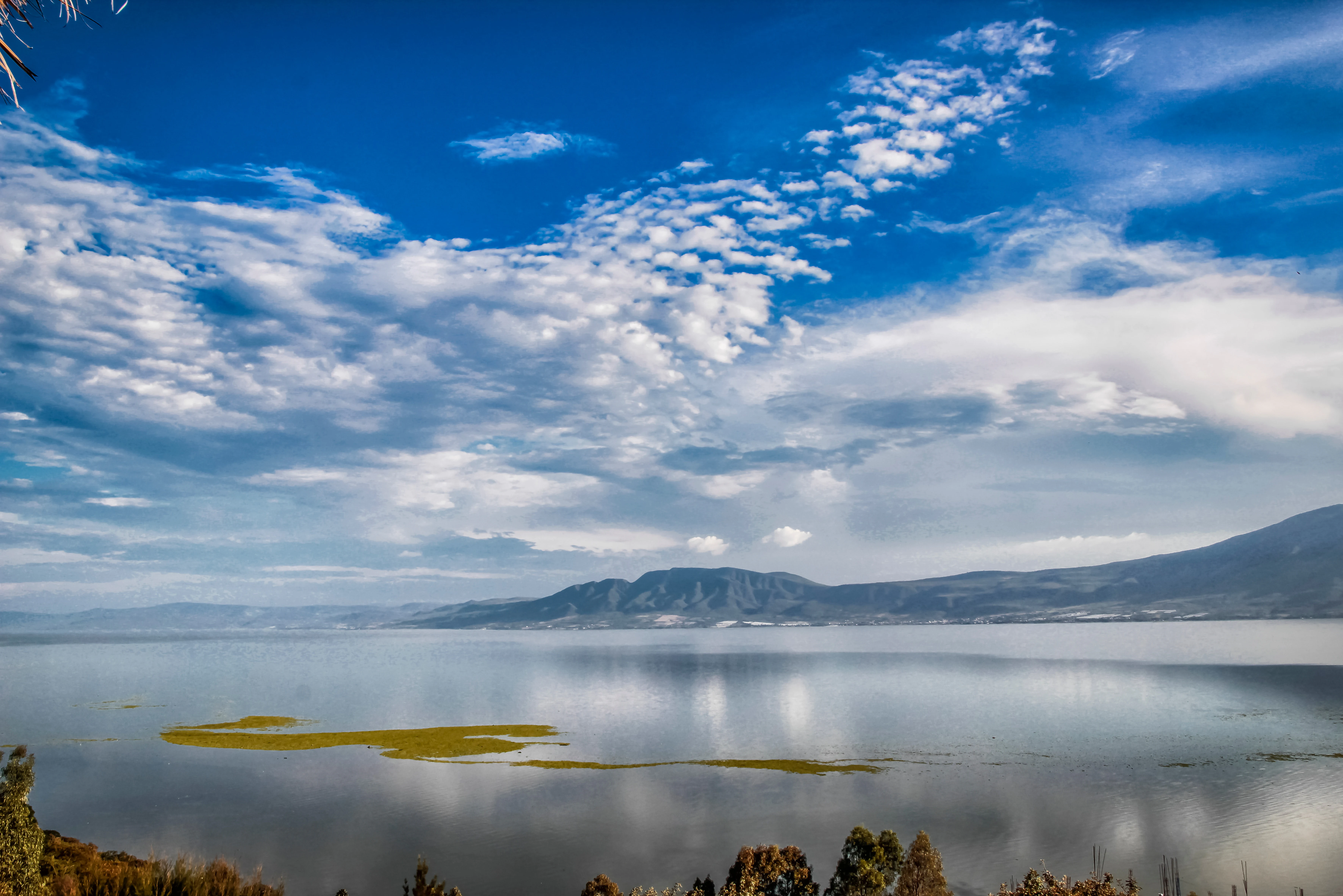 A expansive view across Lake Chapala with calm water, a green marshy area in the distance, and rolling hills under a blue sky filled with scattered white clouds.