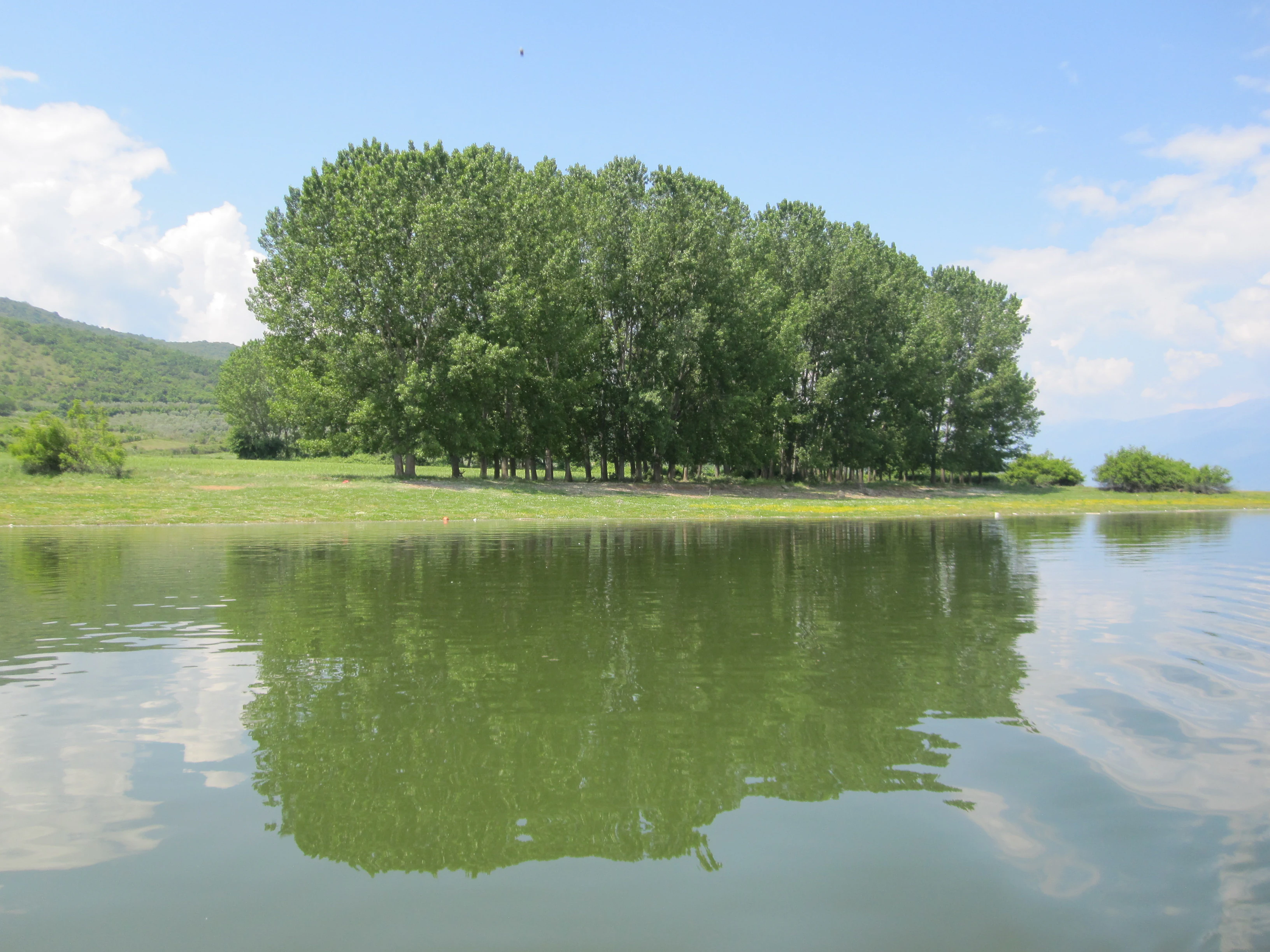 A landscape photograph showing a dense cluster of green trees on a grassy bank next to a lake, with their reflection visible in the water below and hills in the background under a blue sky with clouds.