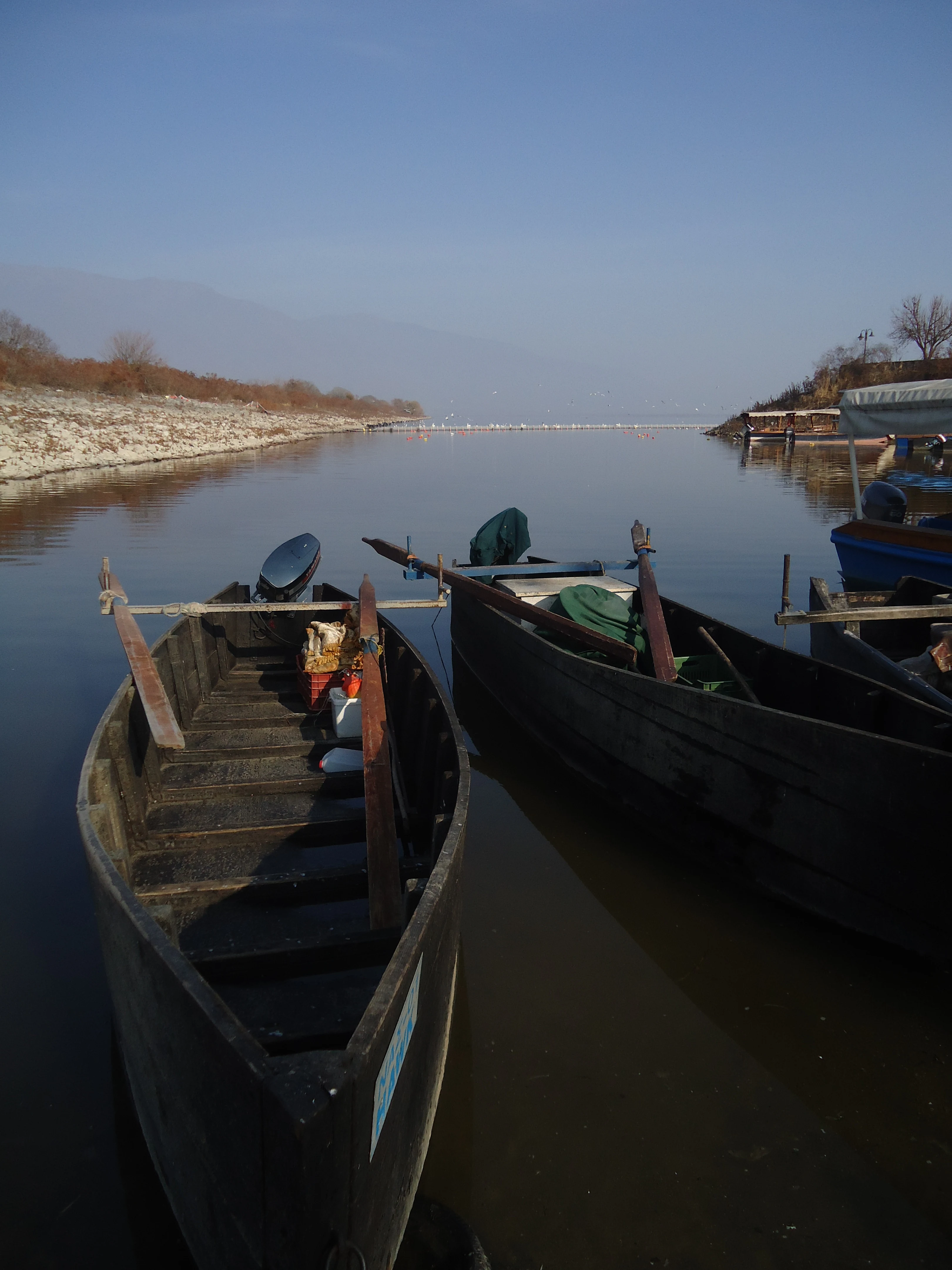 Vertical view of dark wooden fishing boats docked on a calm lake surface, with a tree-lined shore and blue sky in the background.
