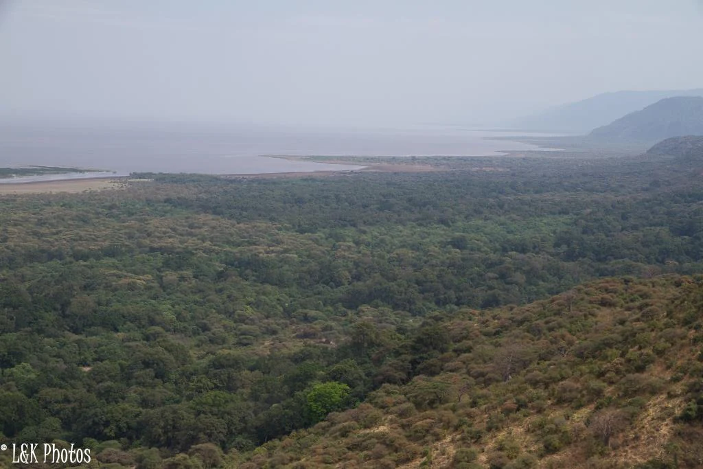 Wide landscape view showing a valley with dense forest and a body of water in the distance