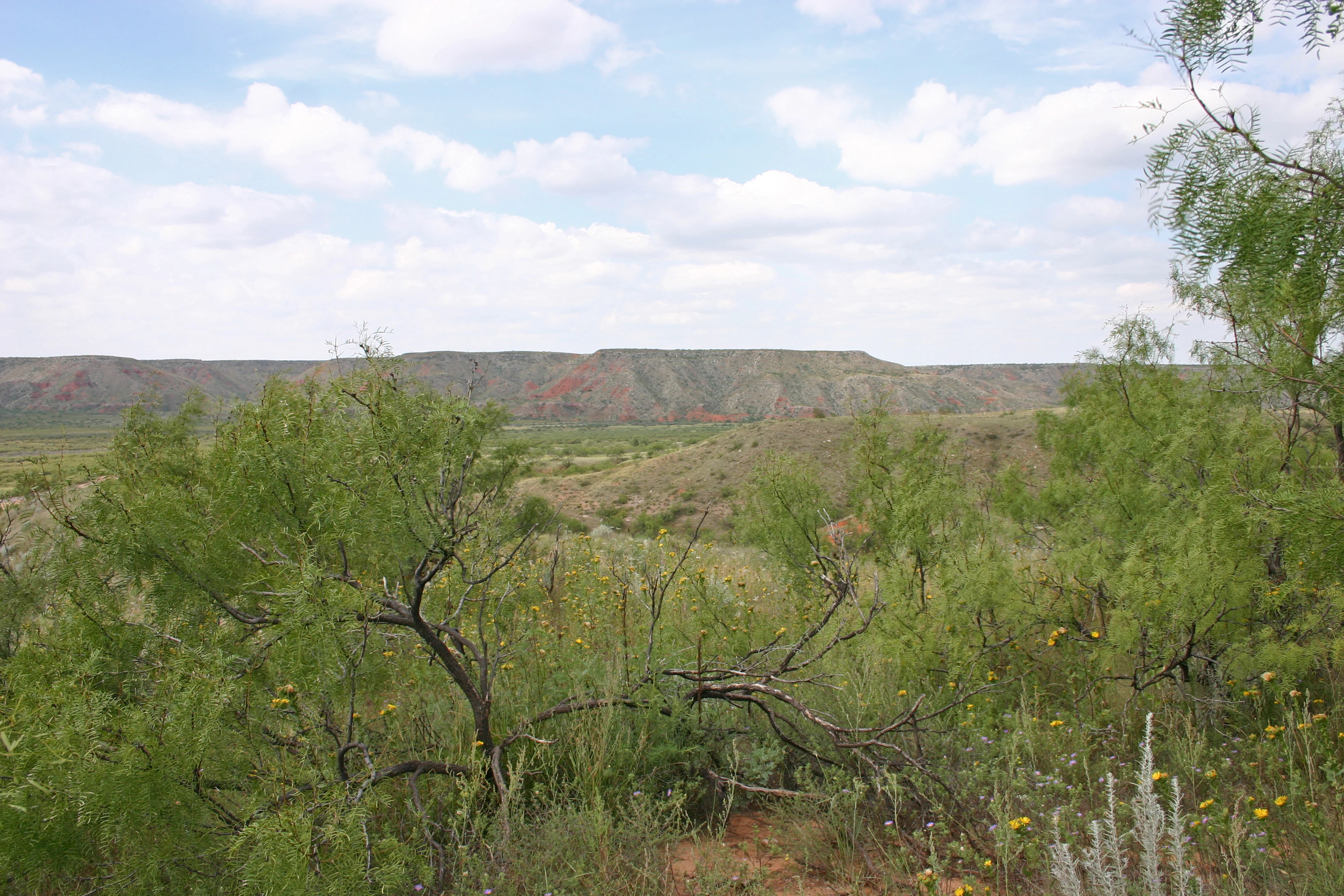A wide landscape view of a flat-topped mesa and scrubby vegetation under a partly cloudy sky.
