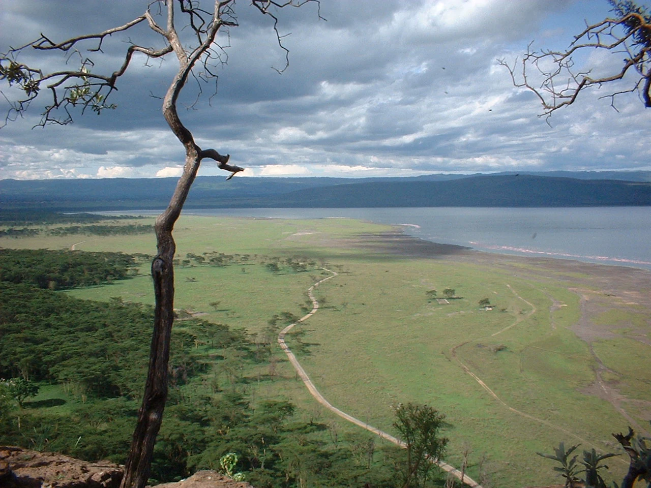 Una vista elevada y de gran angular de una vasta llanura de sabana verde que bordea el agua del lago Nakuru, con un sendero de tierra que serpentea a través del paisaje y un cielo oscuro y nublado por encima.