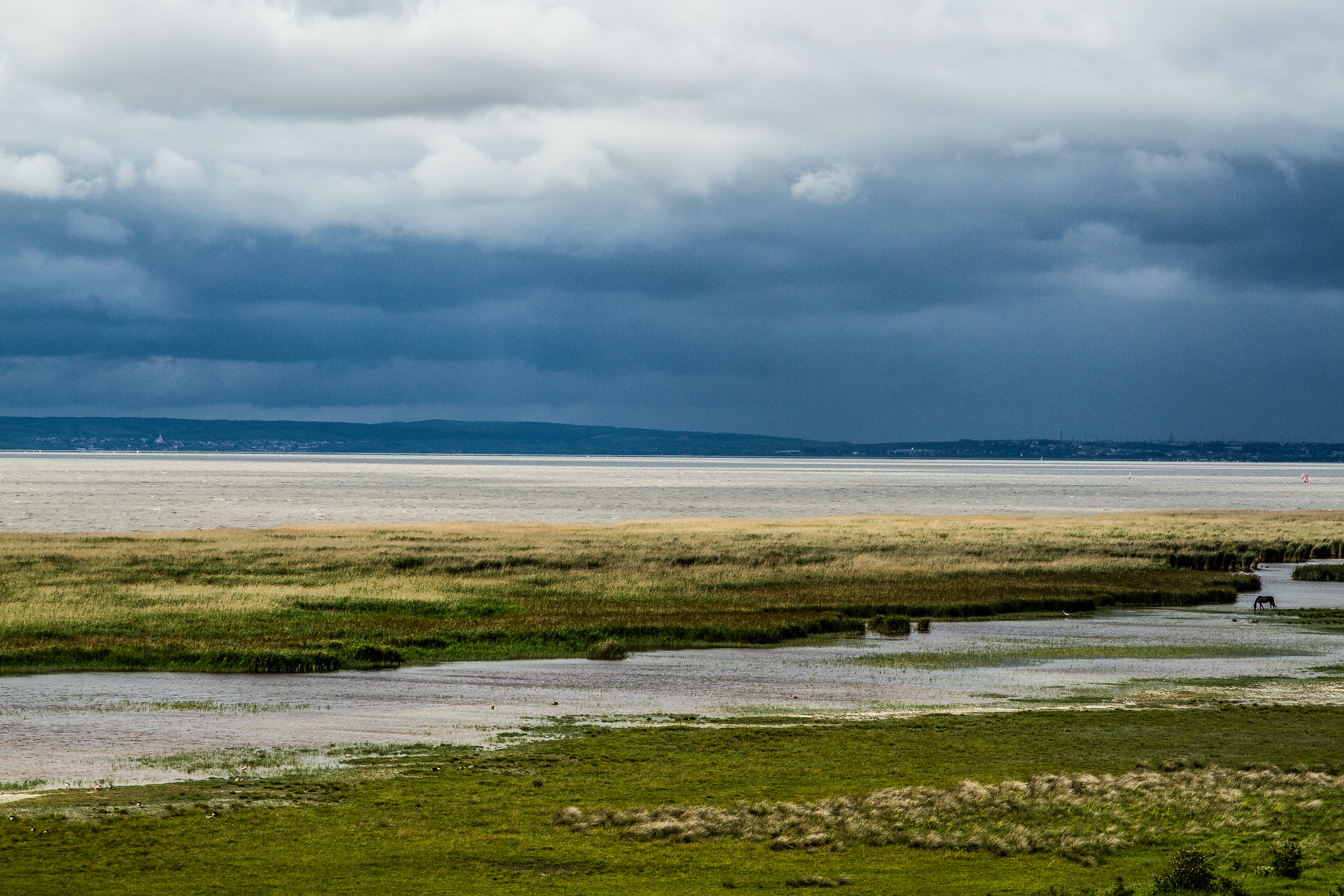 Neusiedler See-Seewinkel National Park