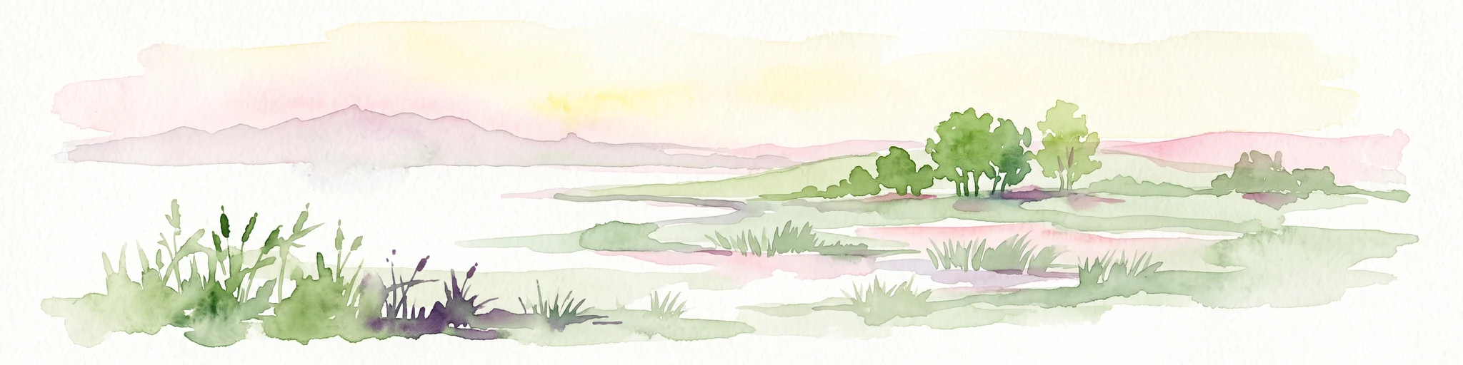 Watercolor painting of a shallow lake scene with green reeds in the foreground, small trees on the shoreline, and rolling hills in the soft, hazy background.