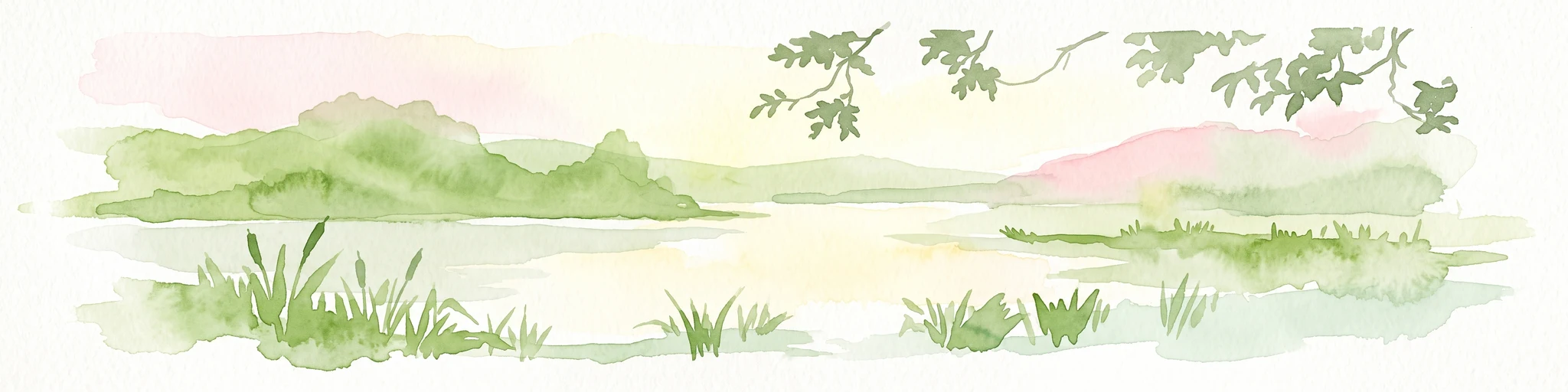 Acuarela de un lago tranquilo rodeado de verdes colinas, con juncos en primer plano y ramas colgantes en la parte superior.
