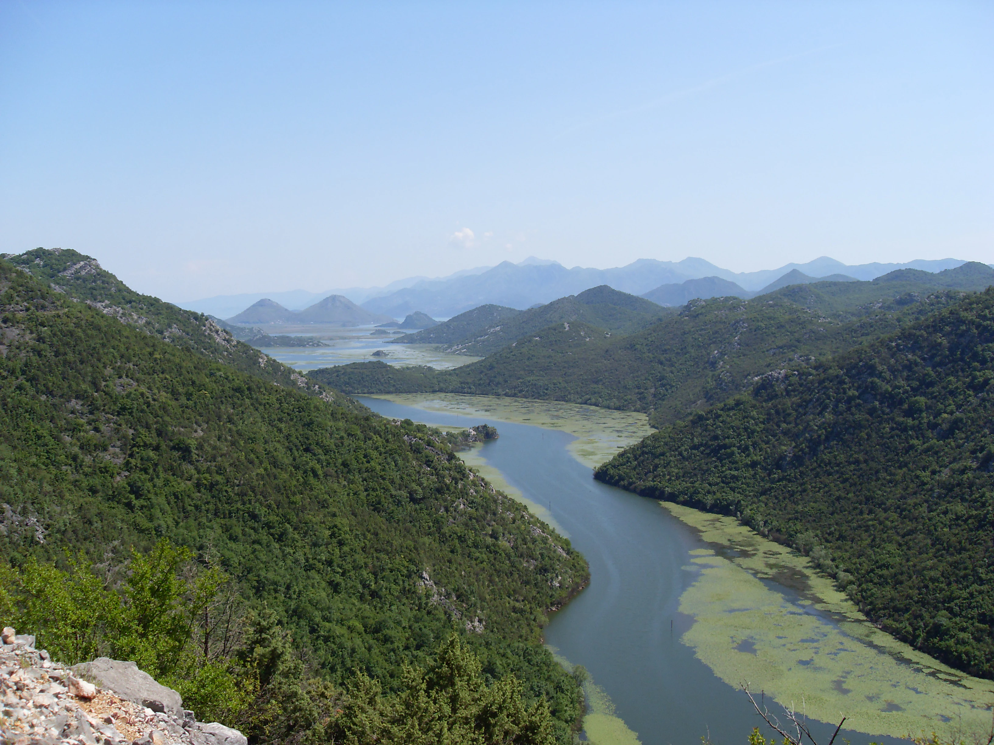 A wide, high-angle landscape shot showing a winding river-like section of Lake Skadar surrounded by lush, green, forested hills under a clear blue sky.