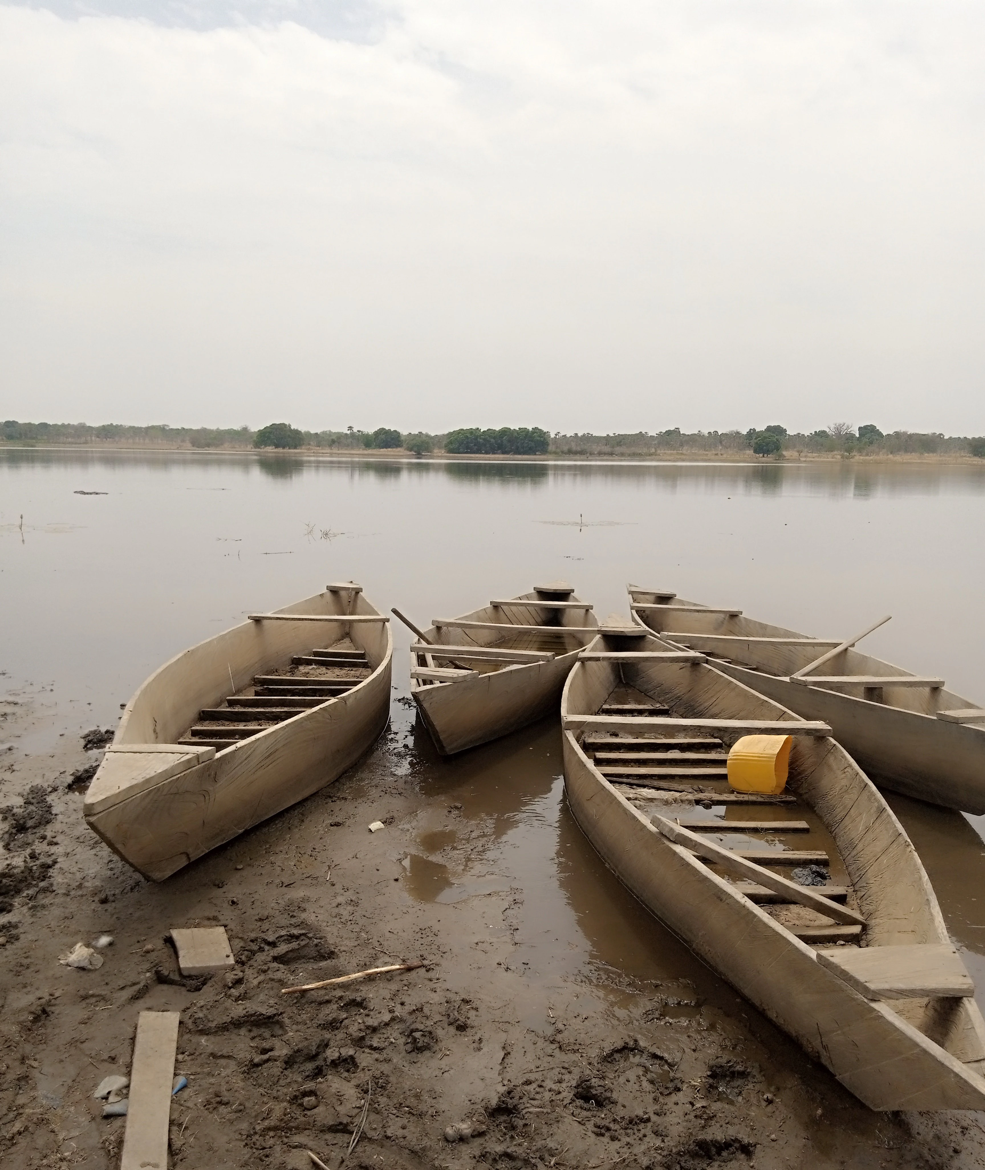 Several wooden pirogues or dugout canoes rest on the muddy shoreline of a calm lake under a bright, overcast sky.