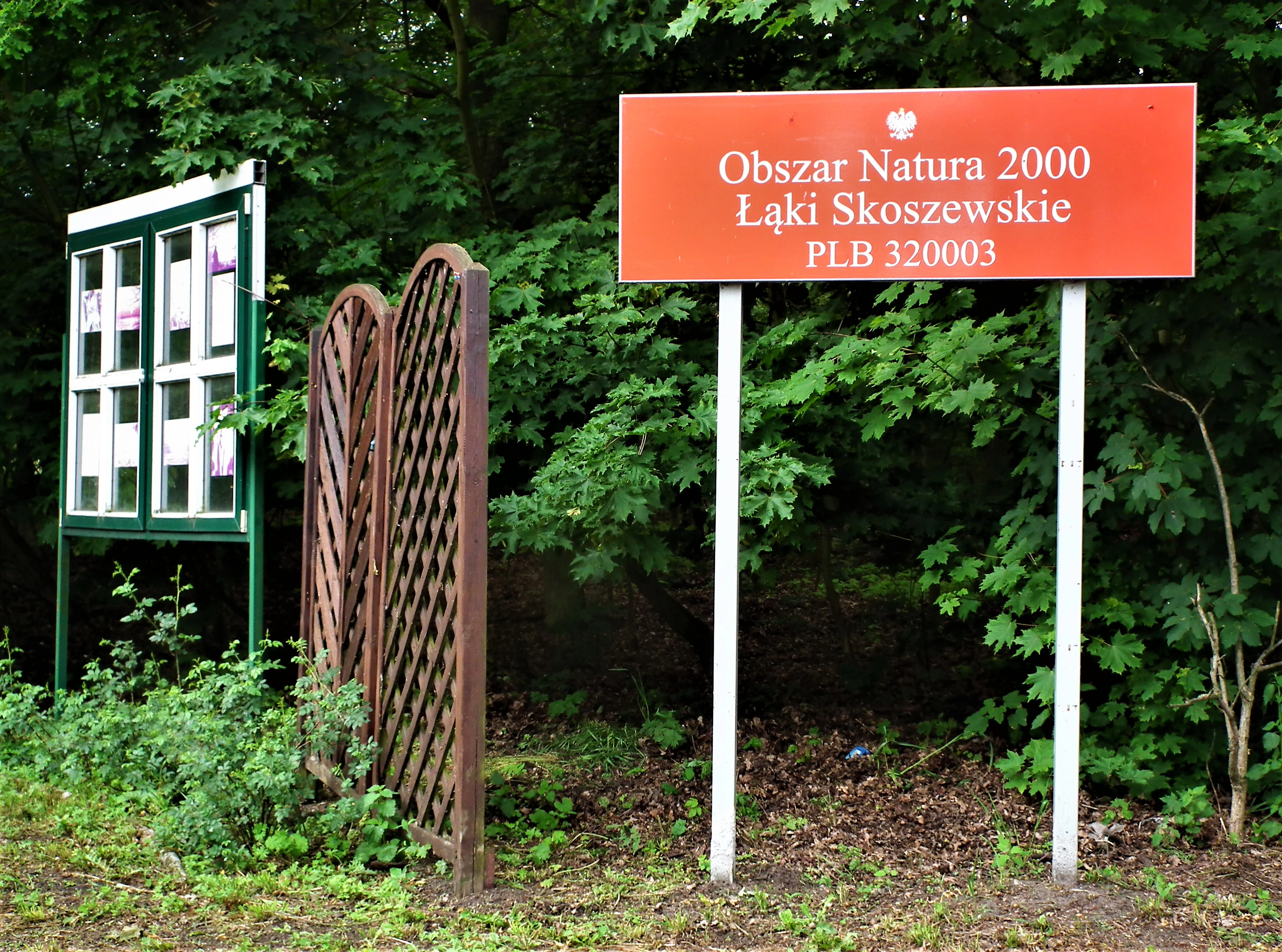 A red rectangular sign with white text reads Obszar Natura 2000, Ląki Skoszewskie, PLB 320003, mounted on two white poles in front of green trees, next to a wooden fence and an information board.