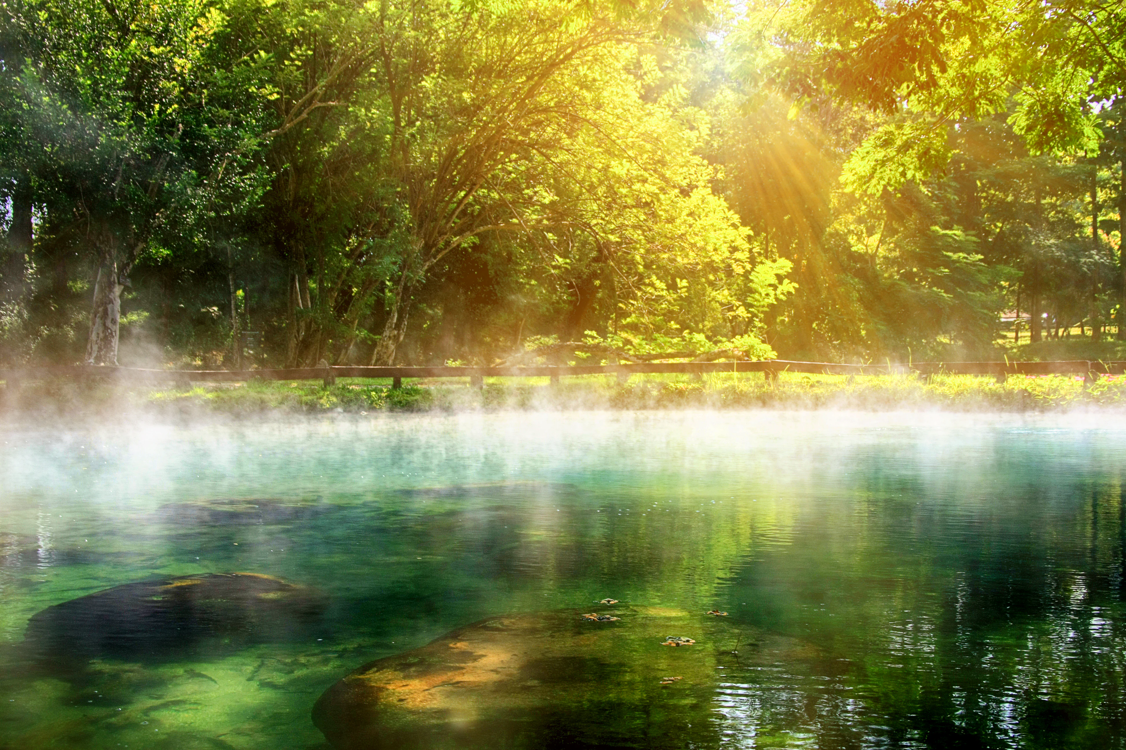Steam rising from a turquoise hot spring surrounded by lush green trees and sunlight filtering through the foliage