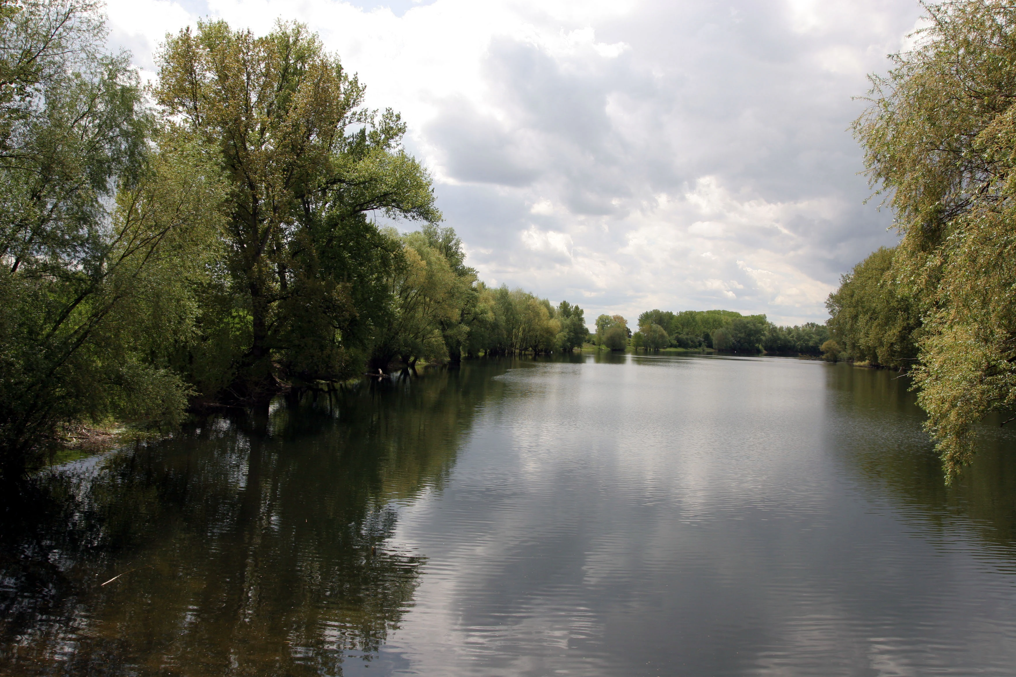 A calm river channel winding through a lush, green riparian forest under a cloudy sky.