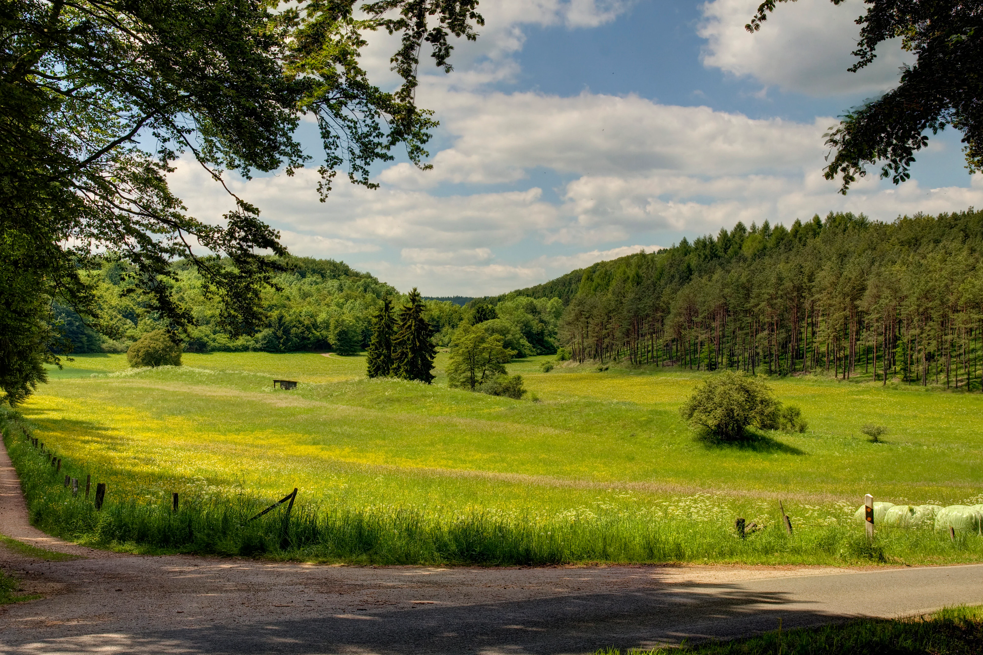 A wide, green valley landscape with rolling meadows, scattered trees, and dense forest slopes under a bright blue sky with light clouds.
