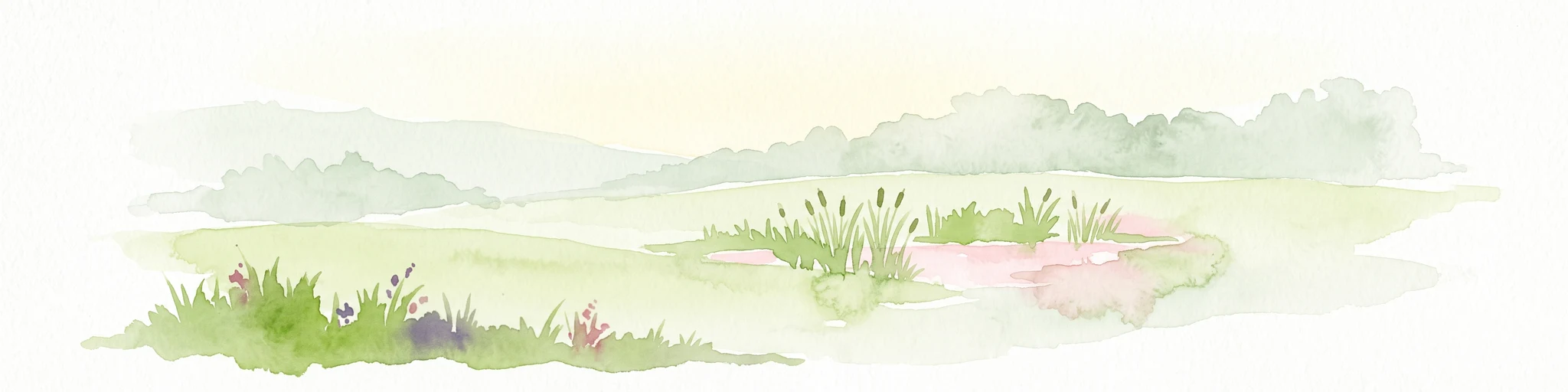 A soft watercolor painting of a green meadow landscape with a small pond, cattails, and gentle forested hills in the background.