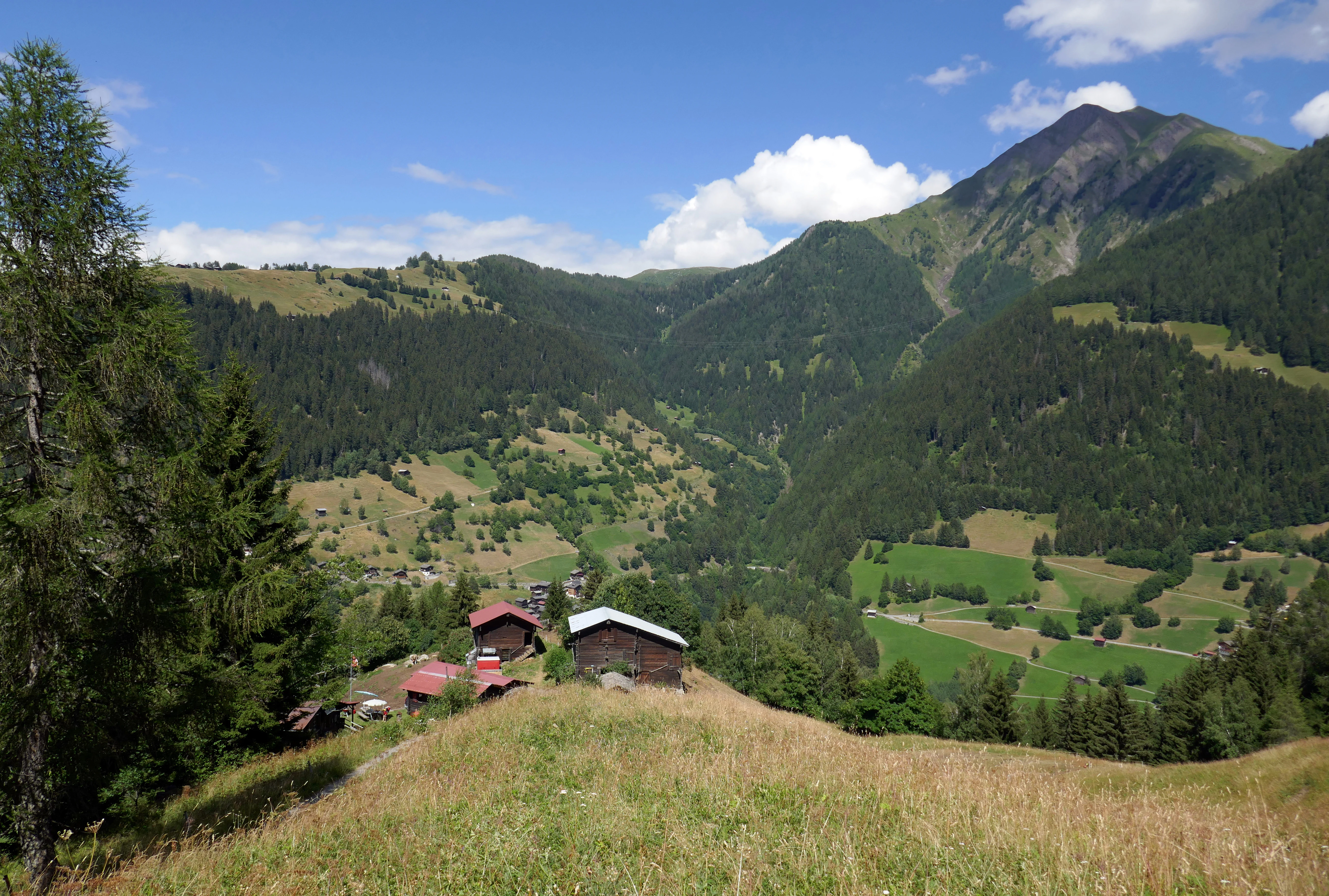 A wide view of a Swiss alpine valley featuring lush green meadows, forested hillsides, and traditional small wooden huts in the foreground, with mountain peaks under a blue sky.